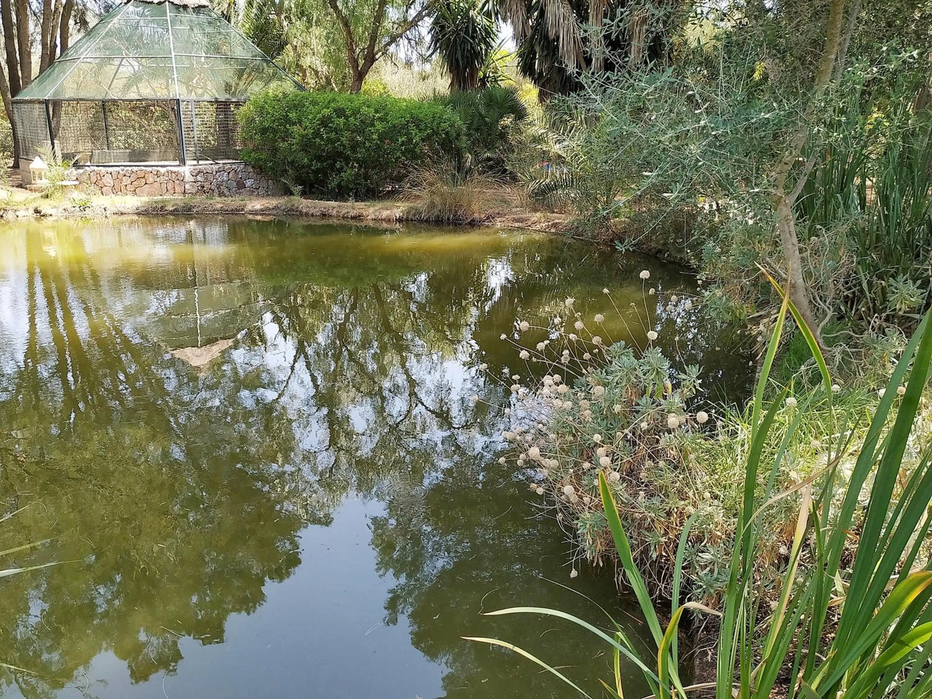 Garden in Petit Hotel Es Figueral