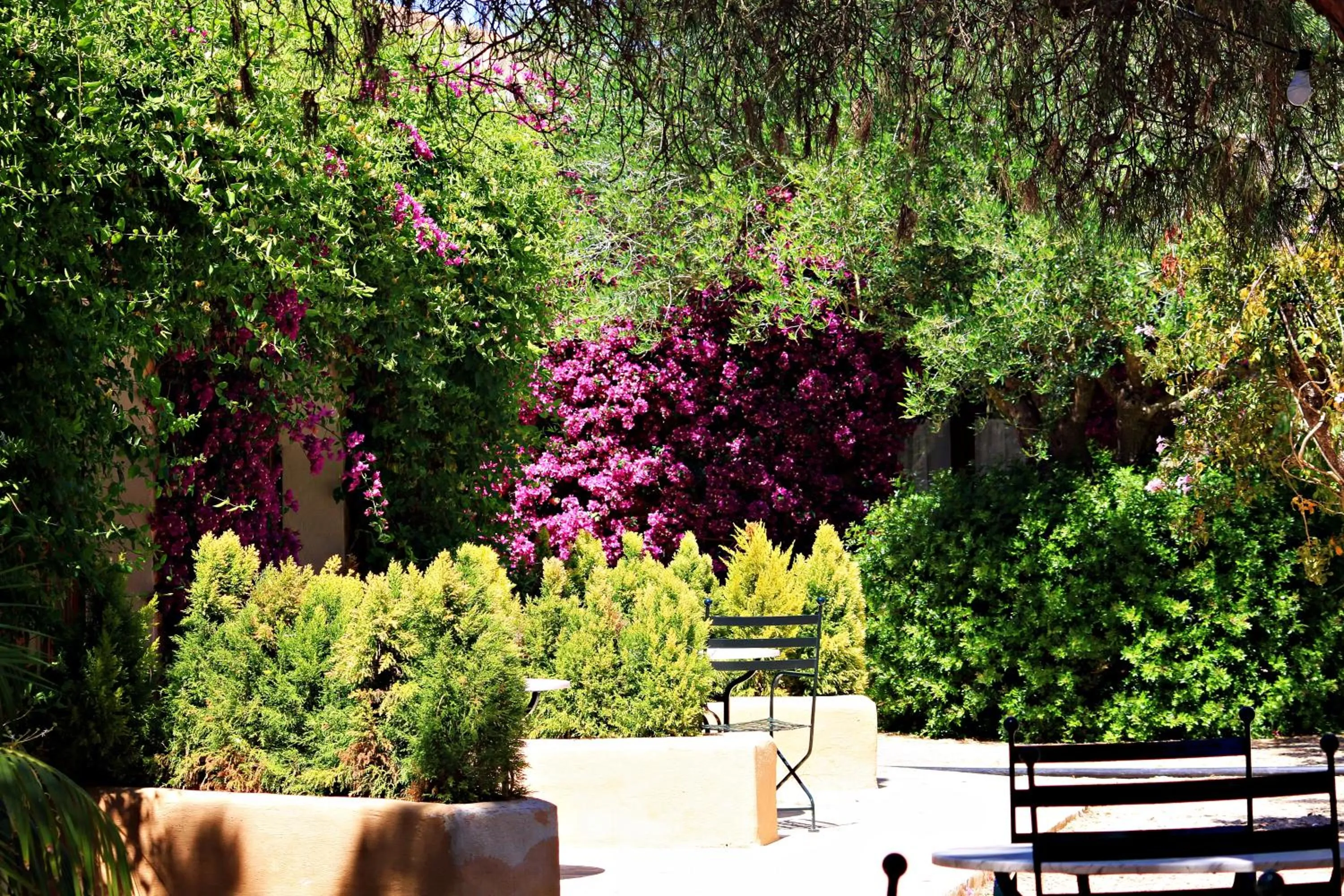 Garden in Petit Hotel Es Figueral