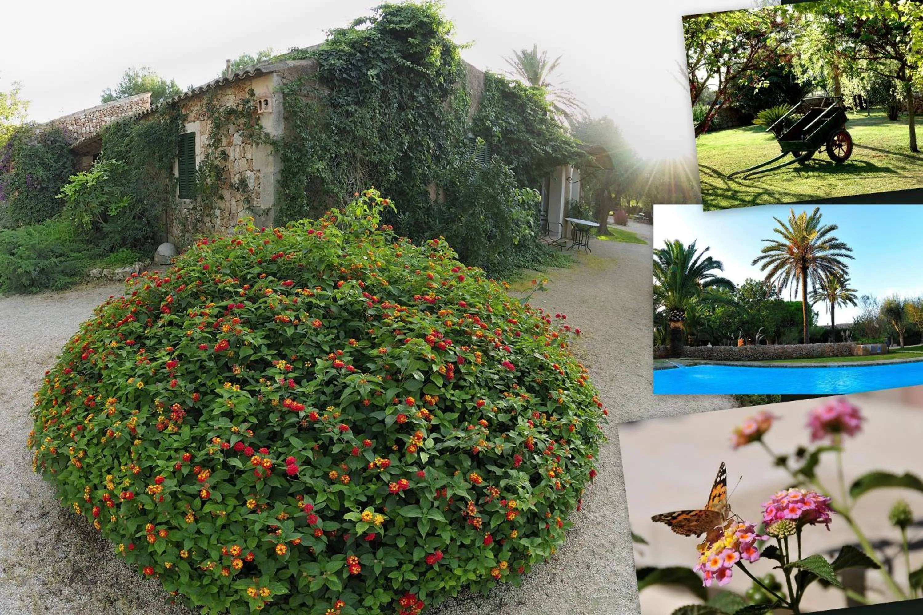 Garden in Petit Hotel Es Figueral