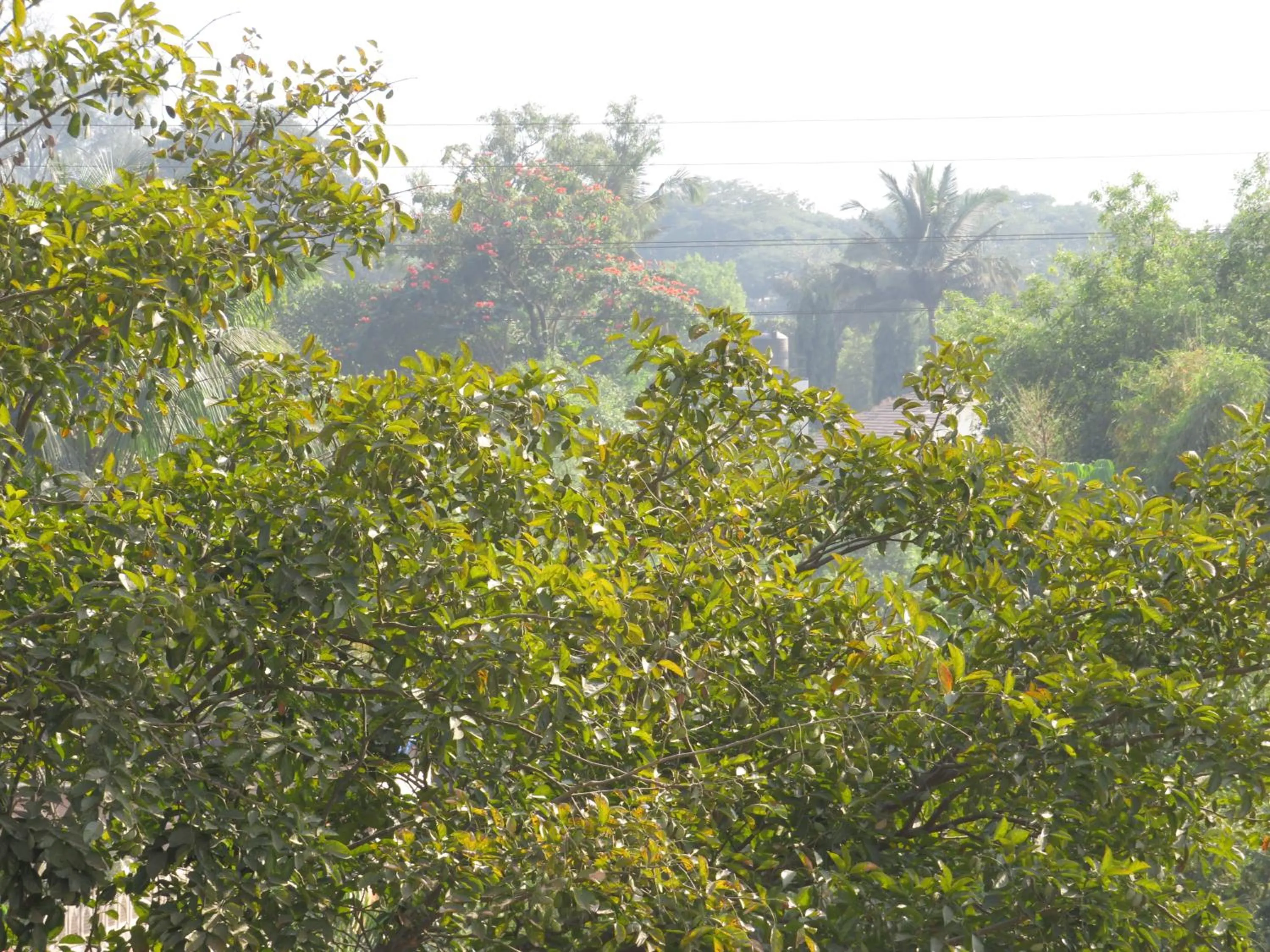 City view in City Palace Resort