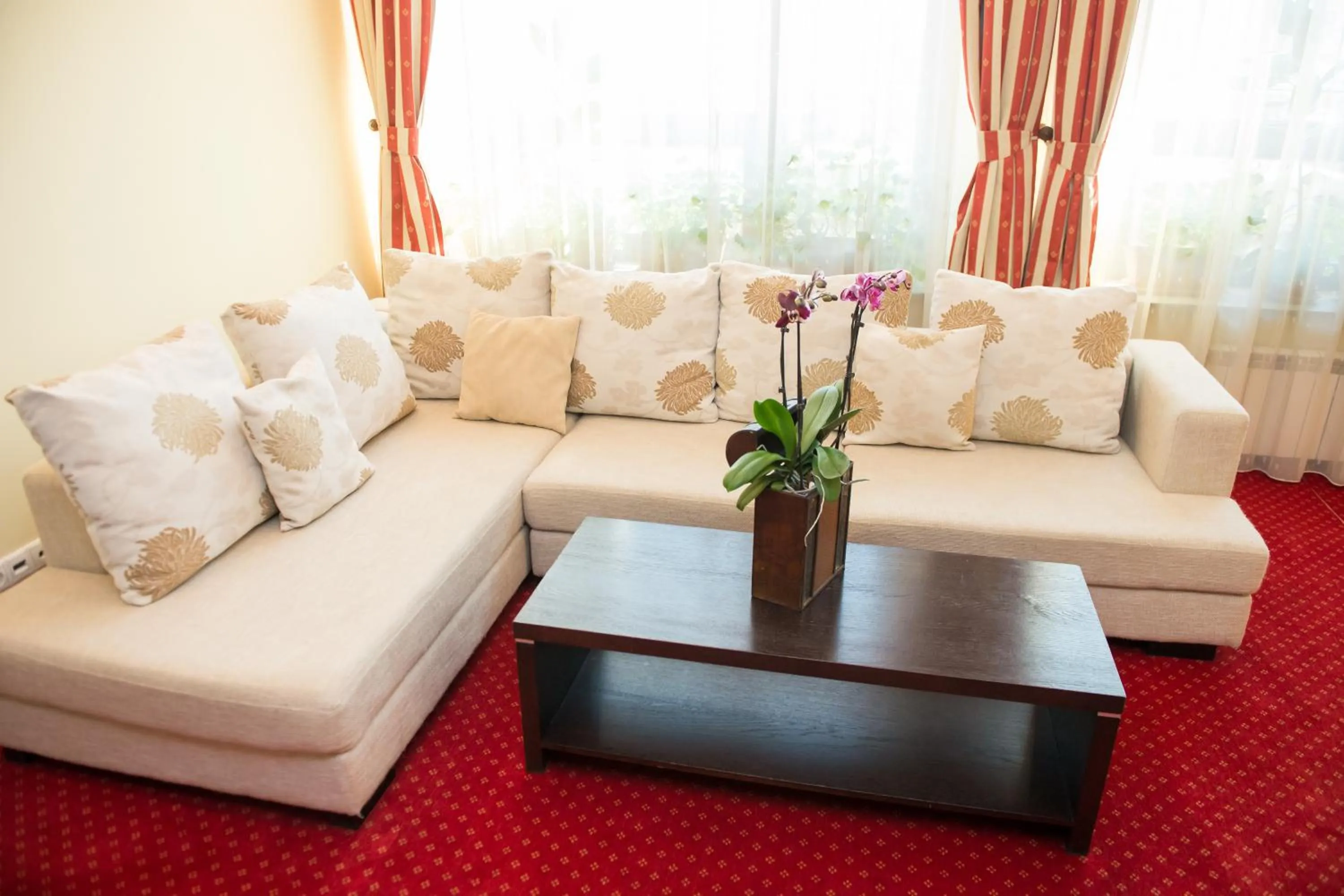 Living room in Pensiunea President