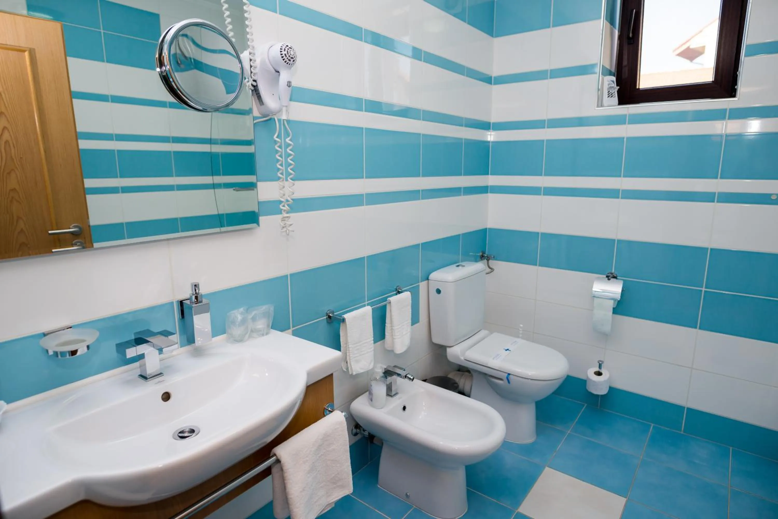 Toilet in Pensiunea President