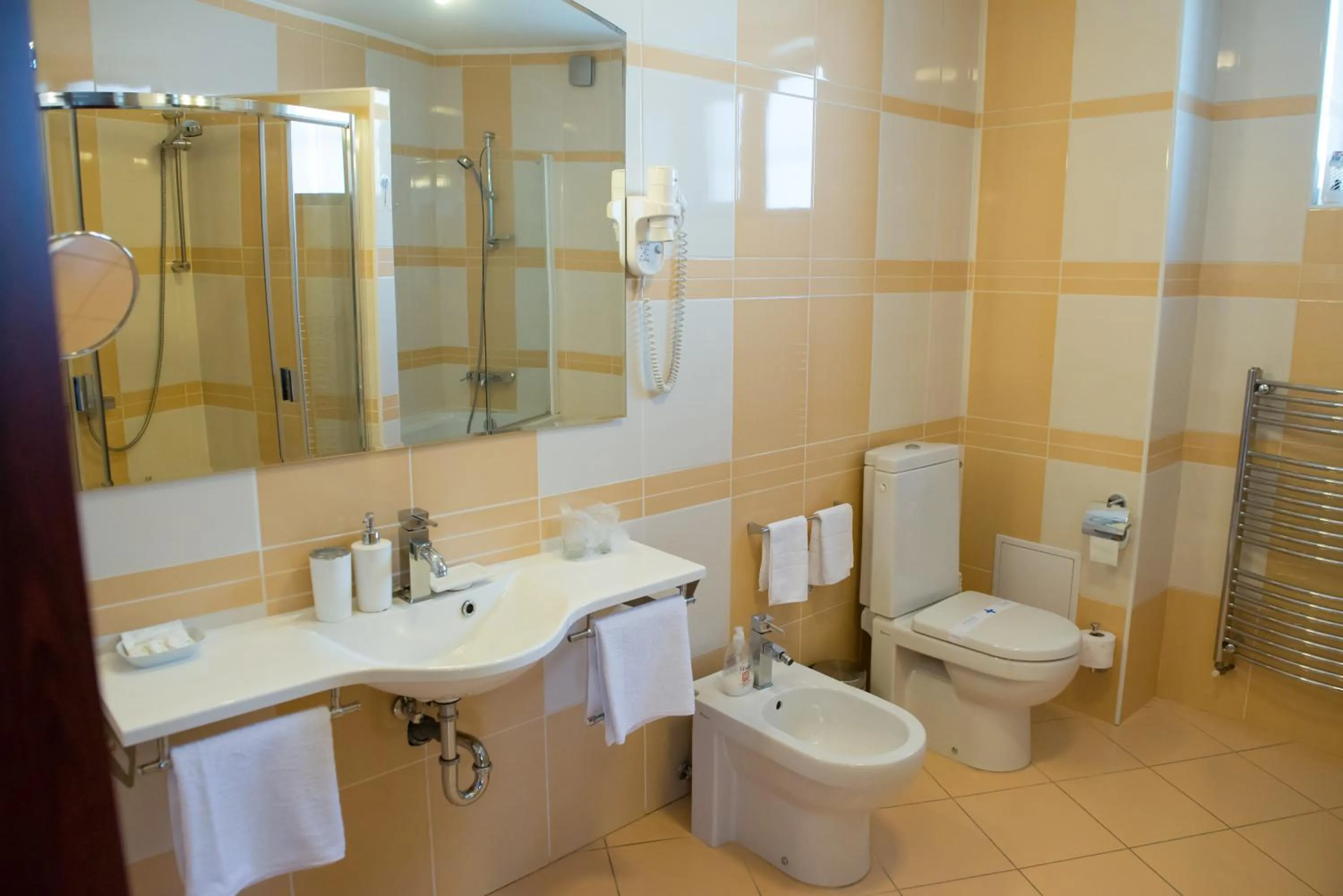 Bathroom in Pensiunea President