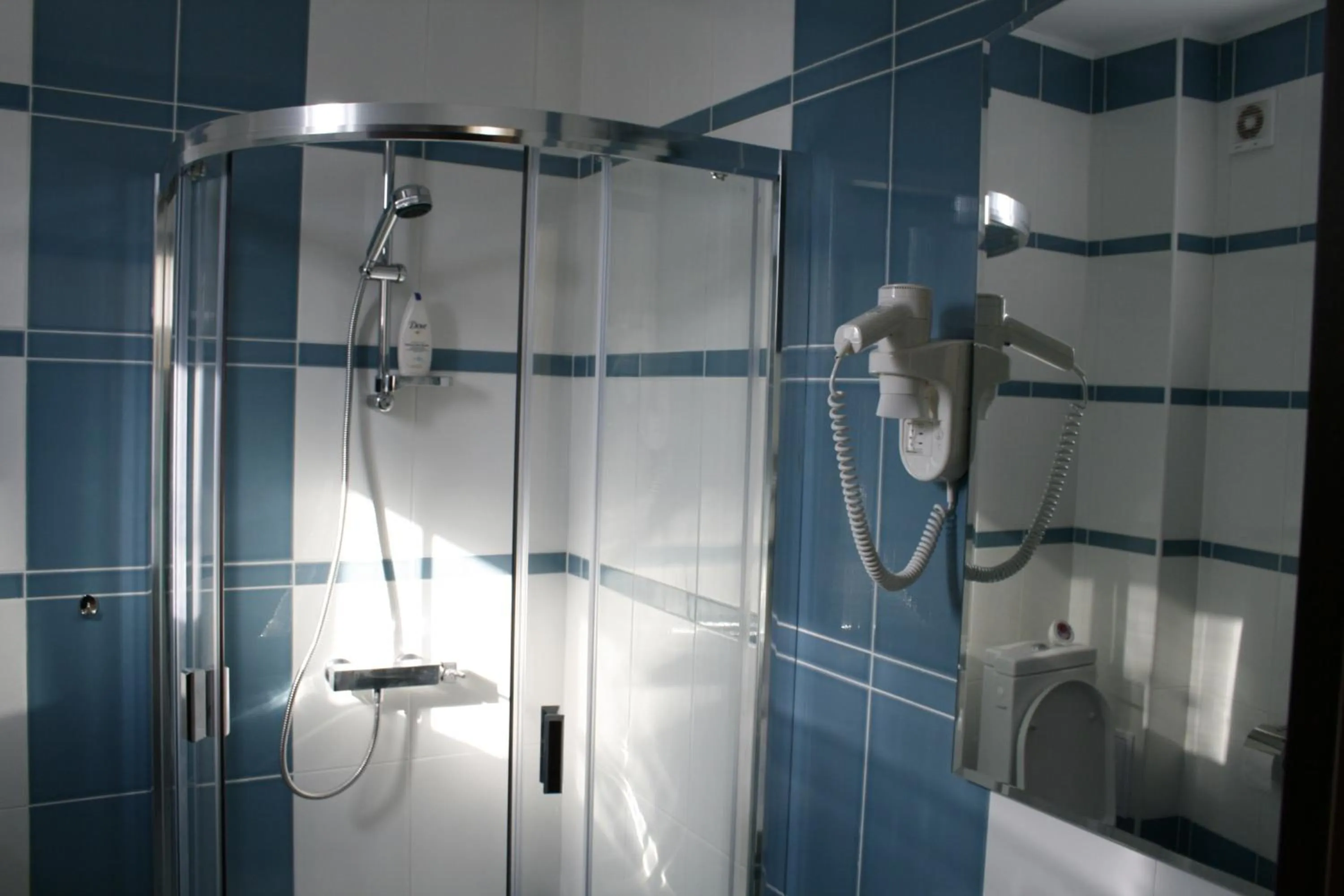 Bathroom in Pensiunea President