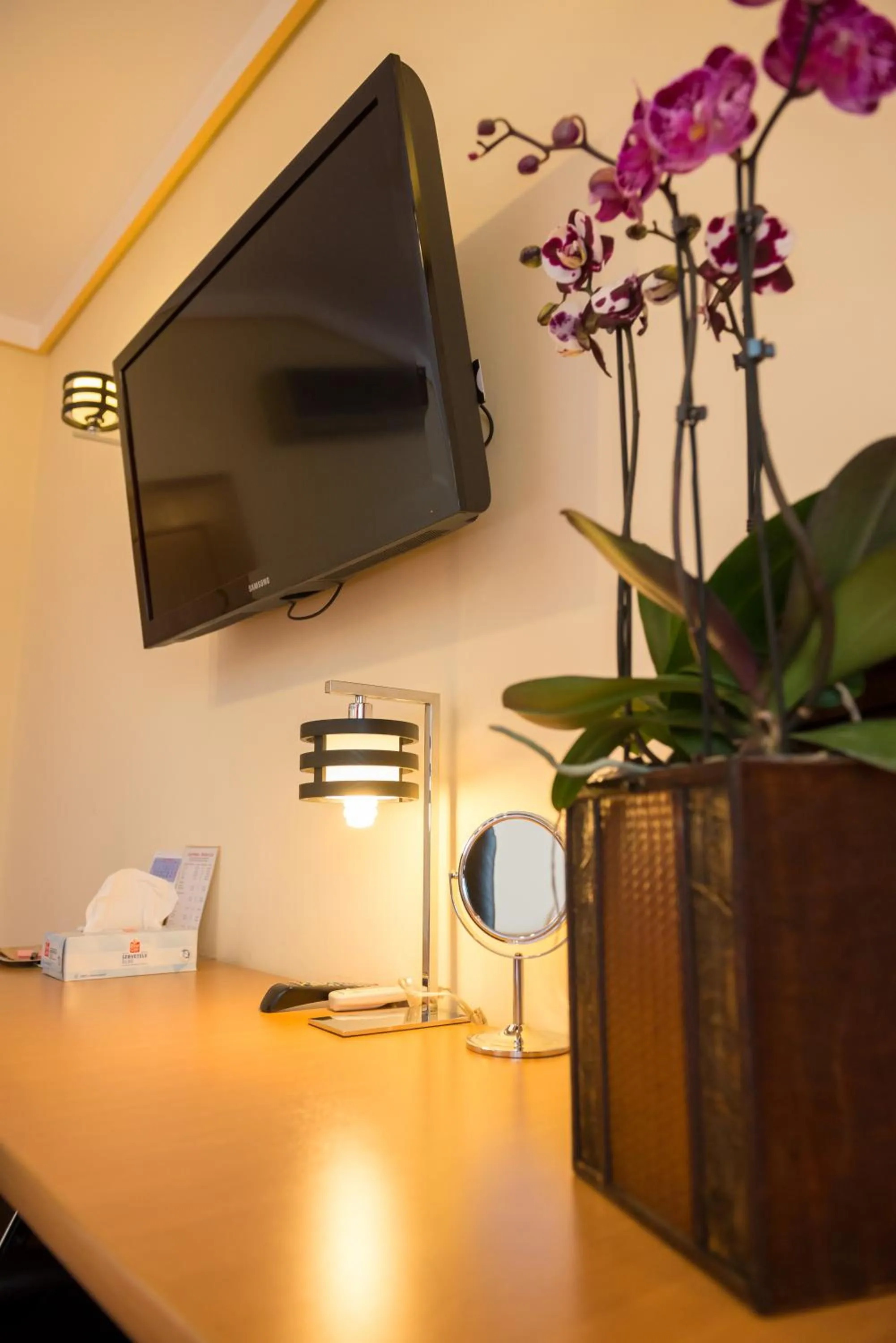 TV and multimedia in Pensiunea President