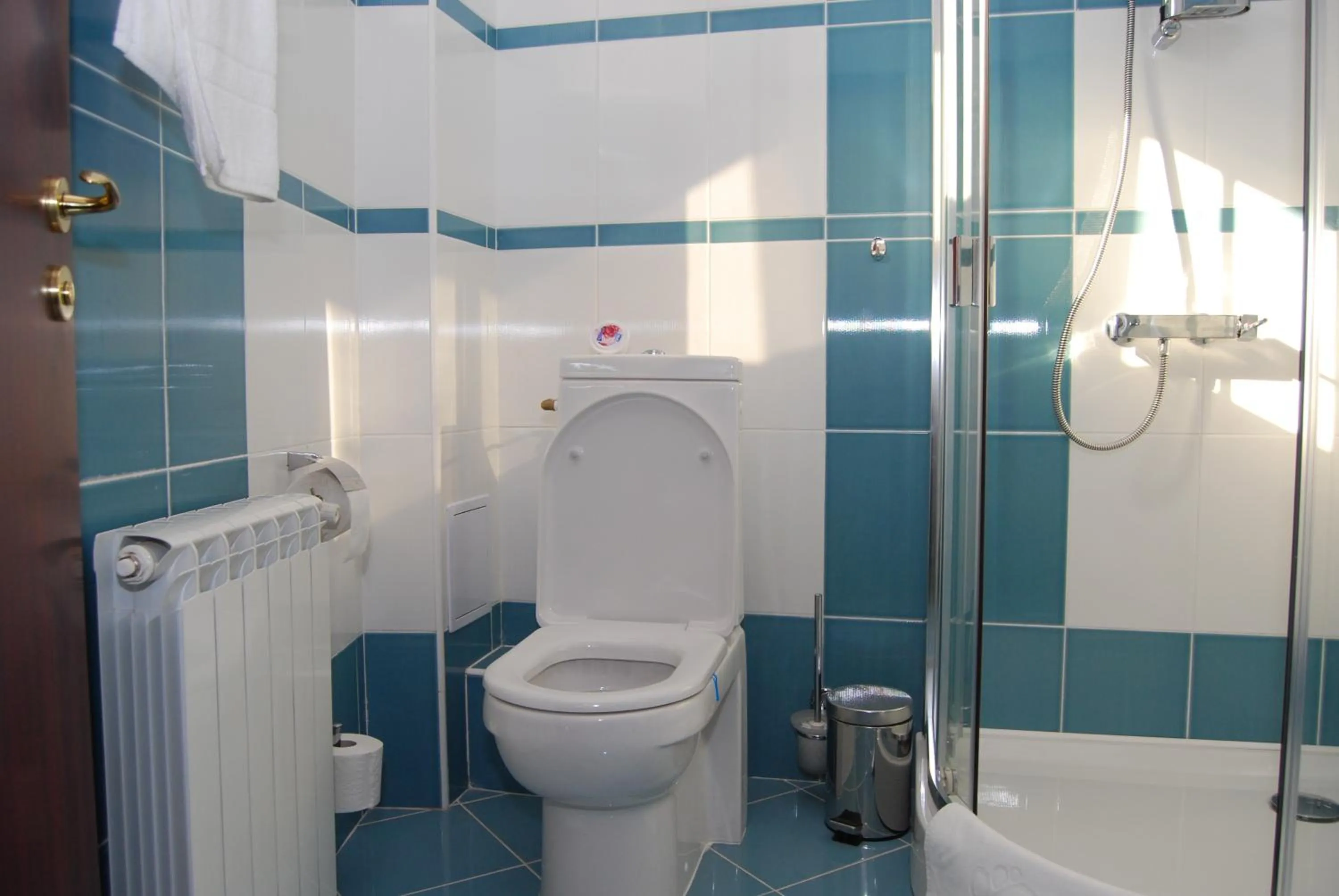 Bathroom in Pensiunea President