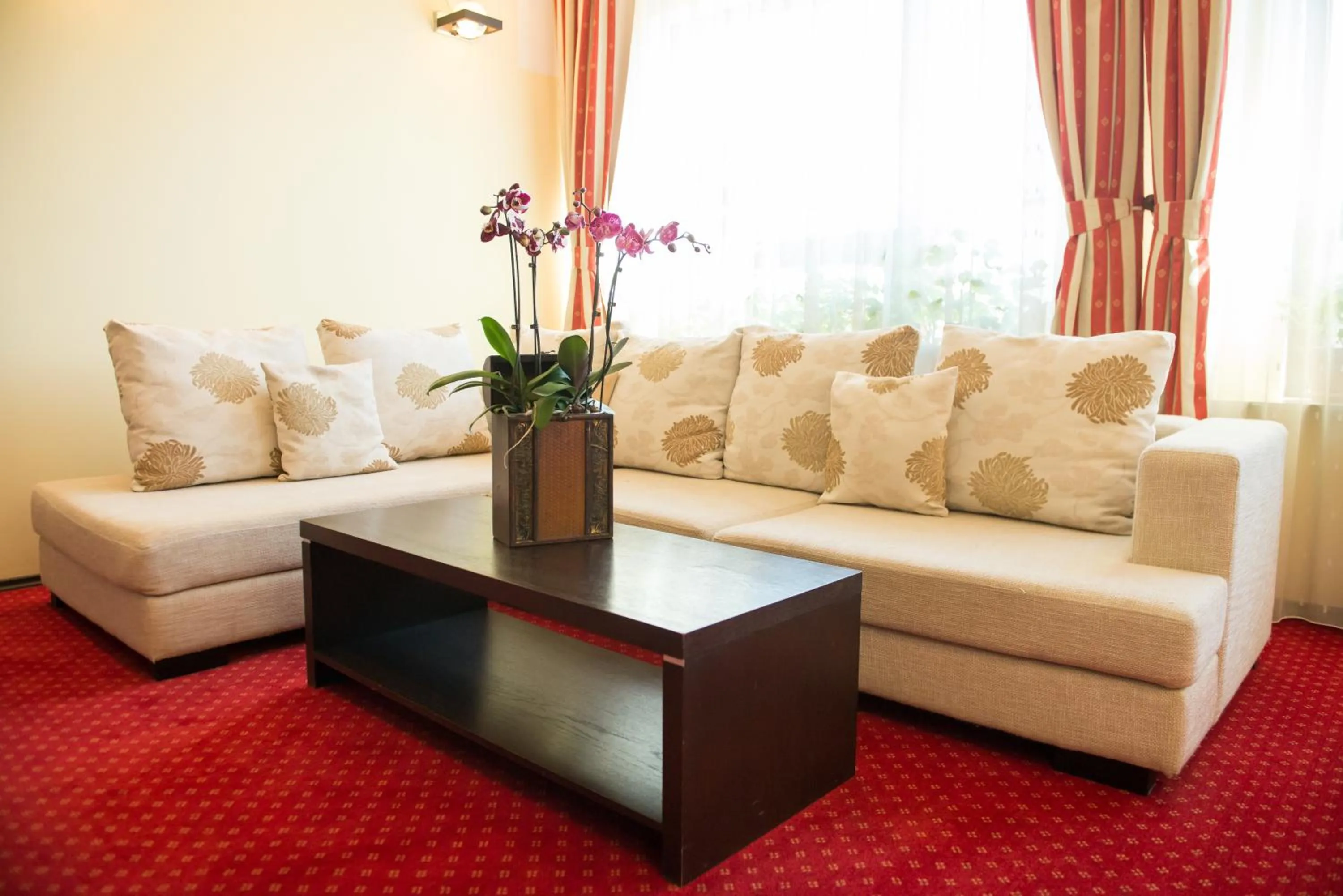 Living room in Pensiunea President