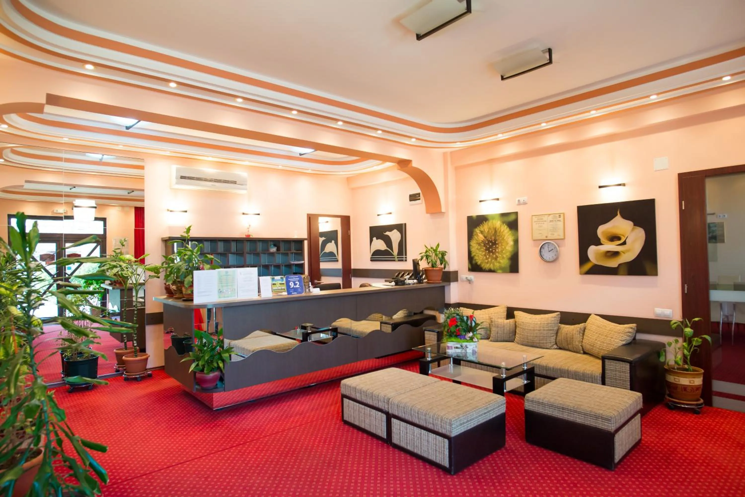 Lobby or reception in Pensiunea President