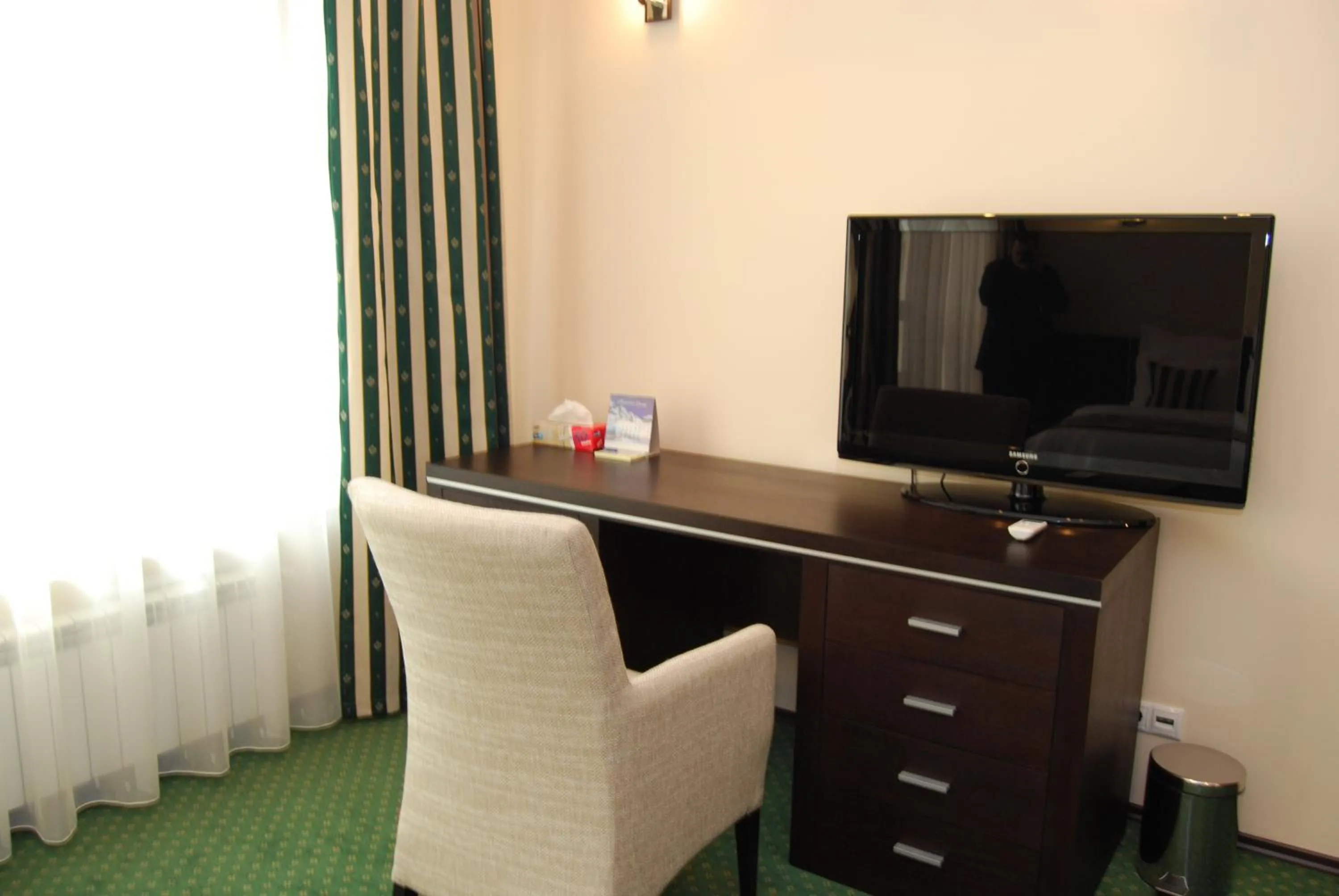 TV and multimedia in Pensiunea President