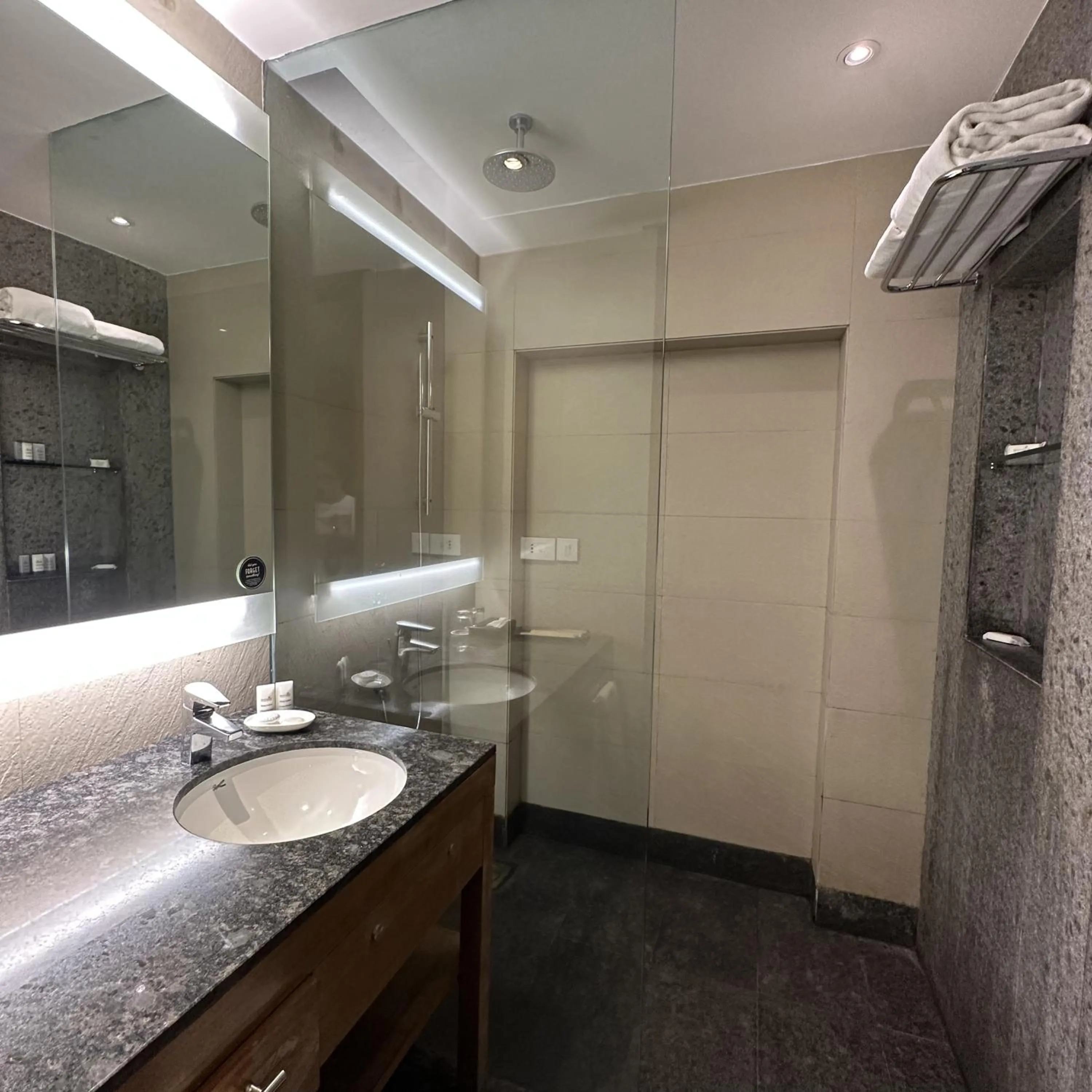 Bathroom in Hyatt Place Hampi