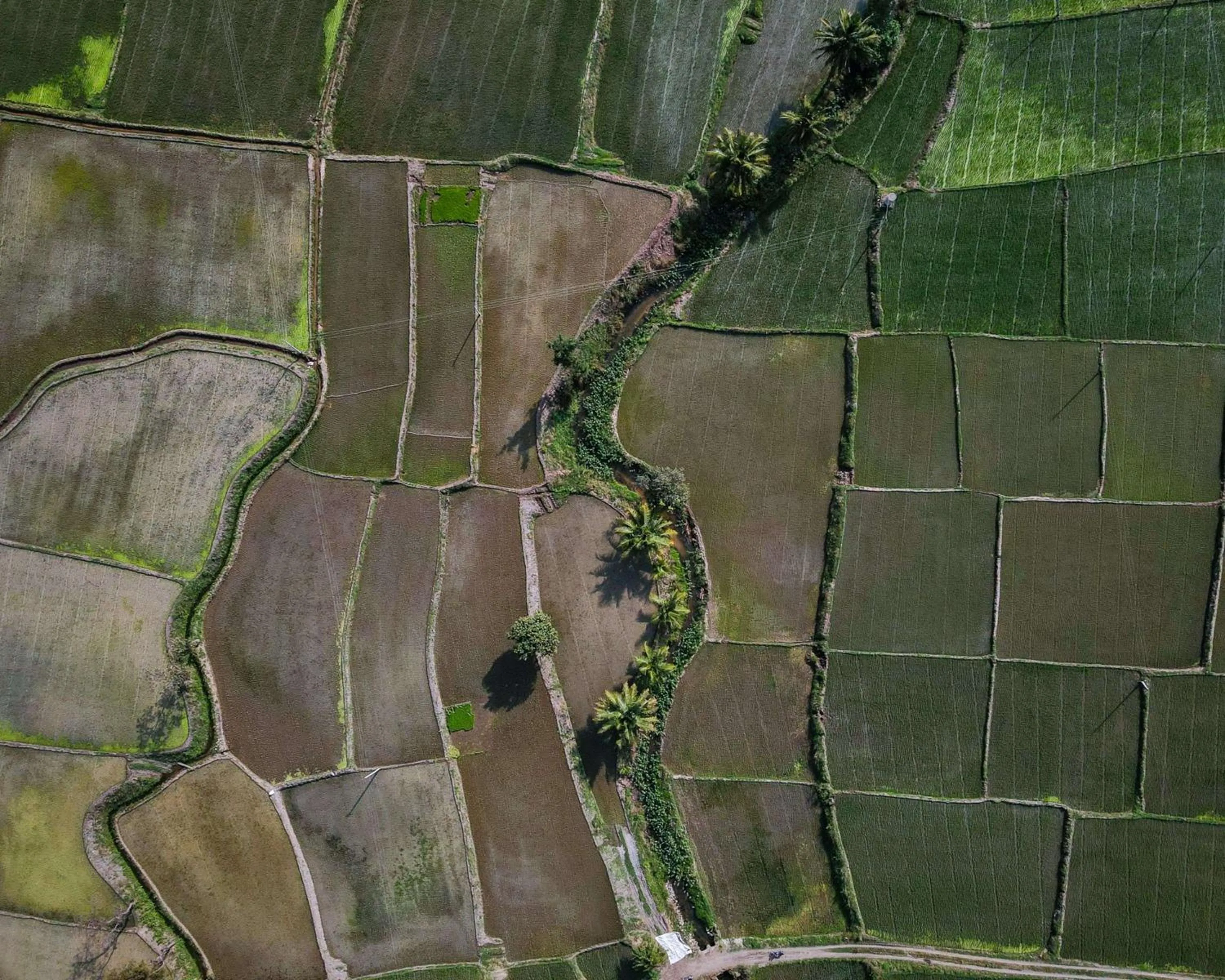 Location in Hyatt Place Hampi