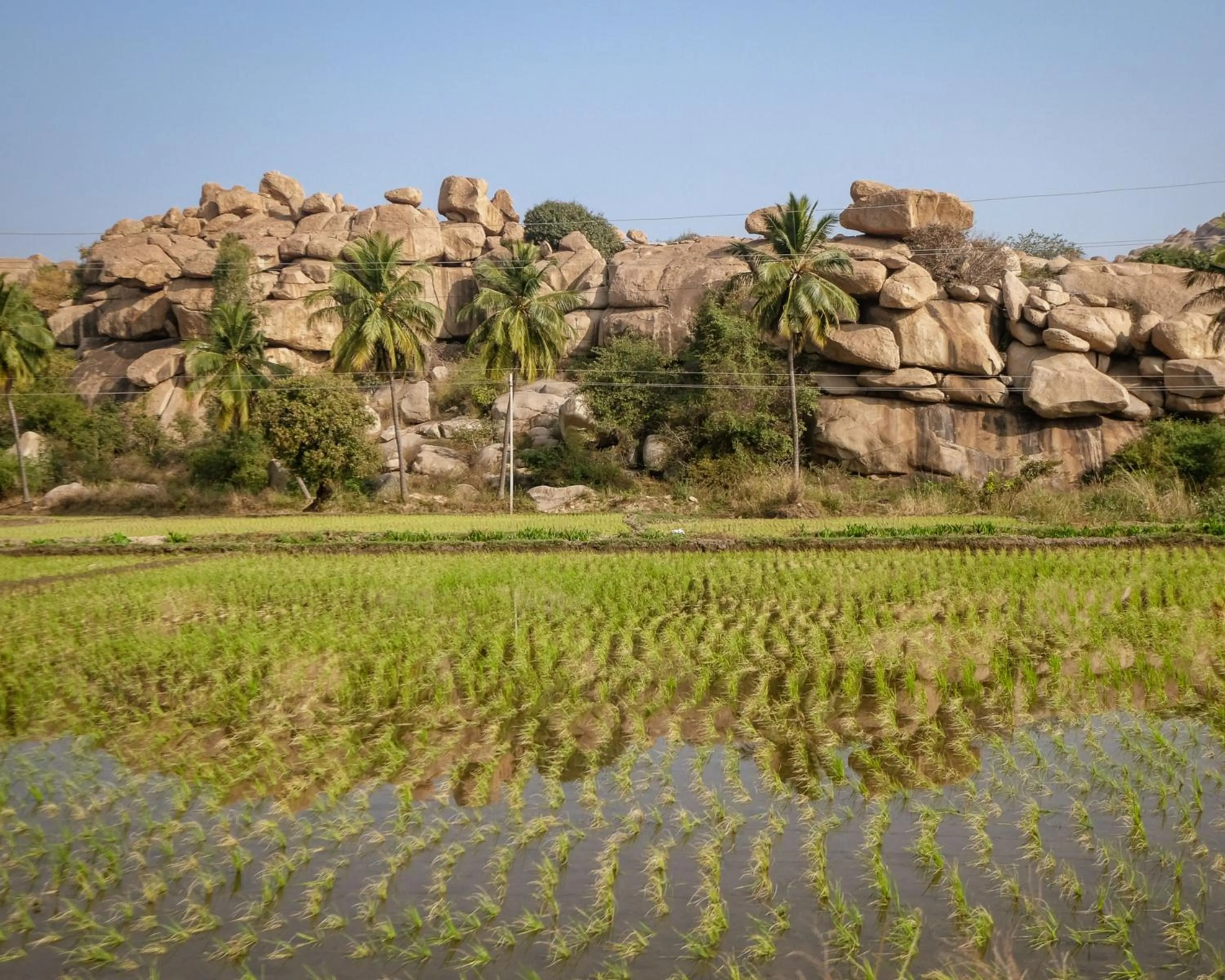 Nearby landmark in Hyatt Place Hampi