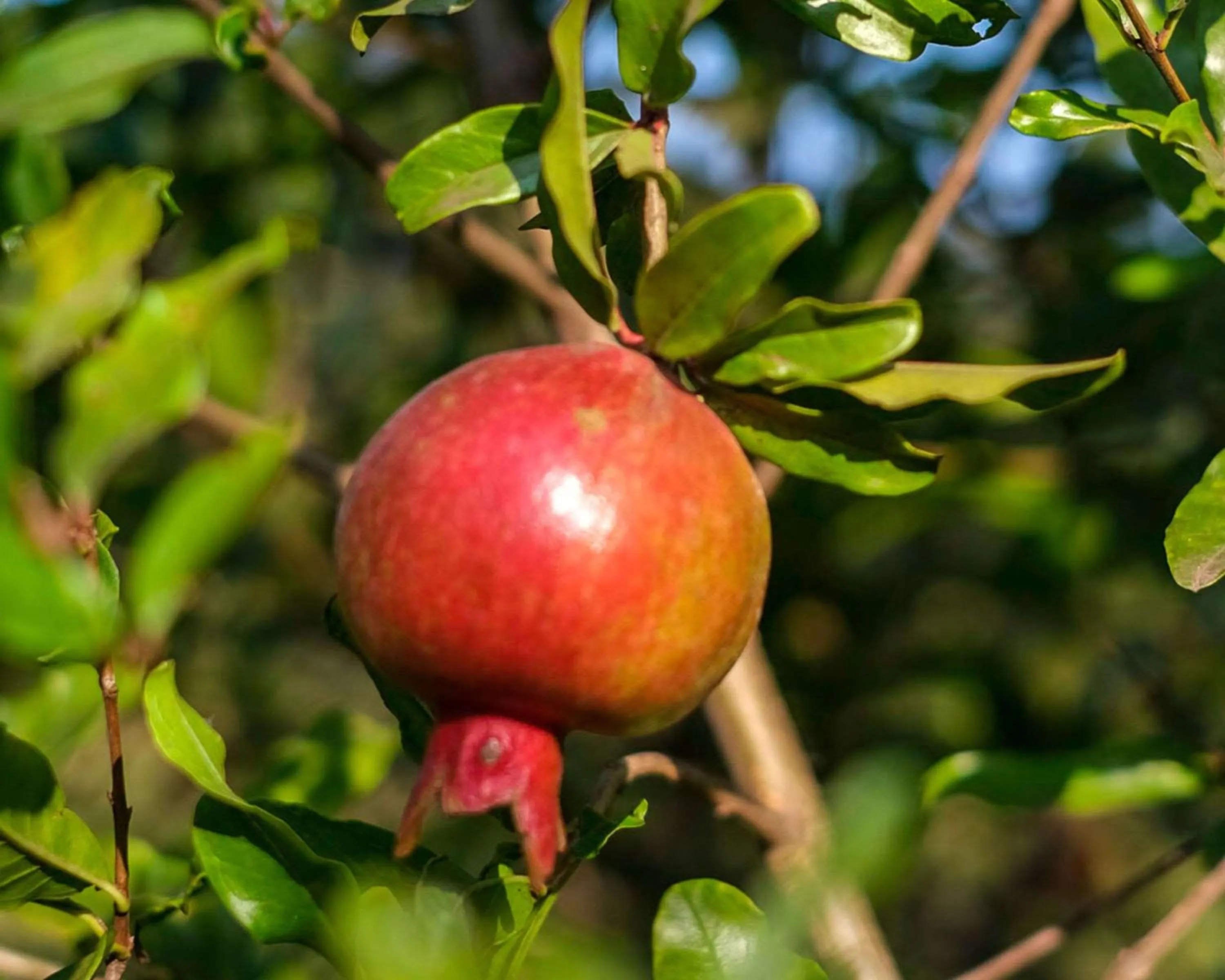 Fitness centre/facilities in Hyatt Place Hampi