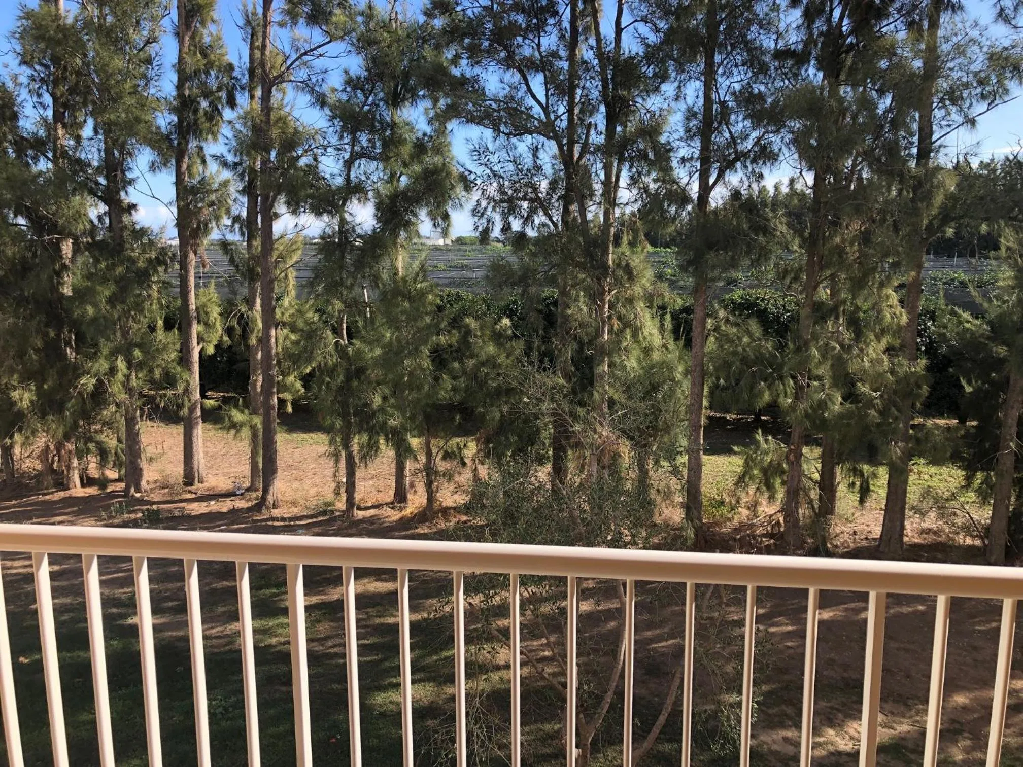 Natural landscape in Auberge les Oliviers