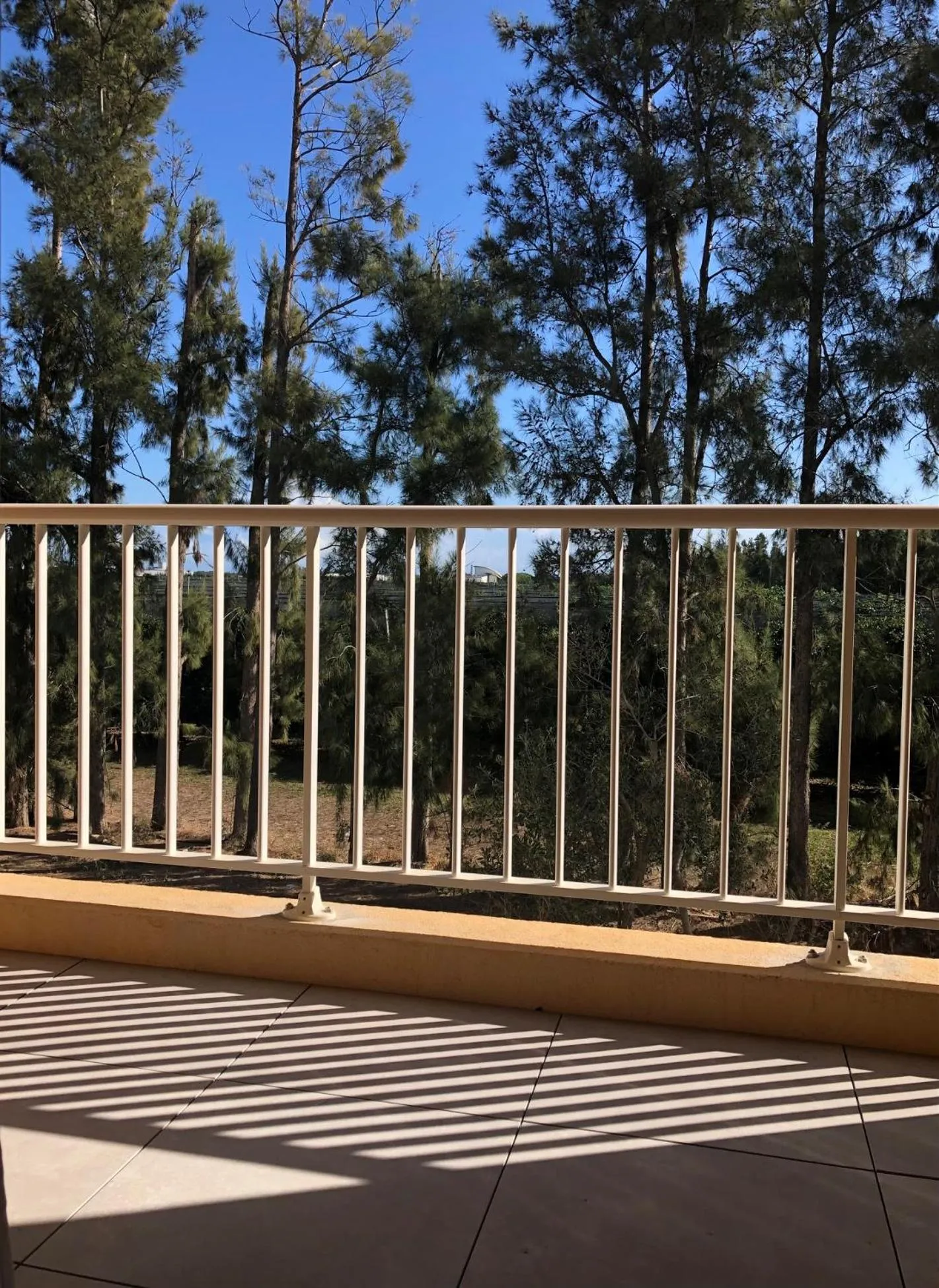 Balcony/Terrace in Auberge les Oliviers