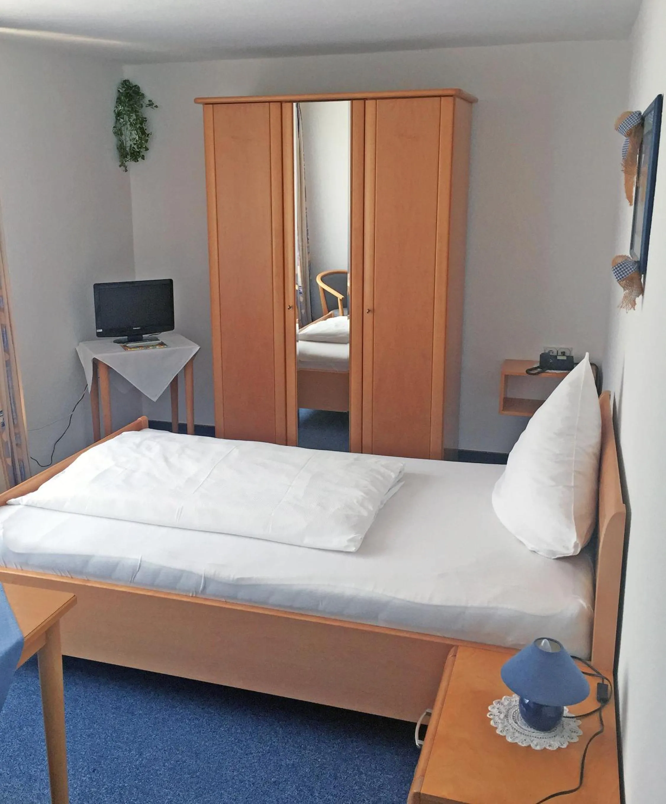 TV and multimedia in Hotel Flurschütz