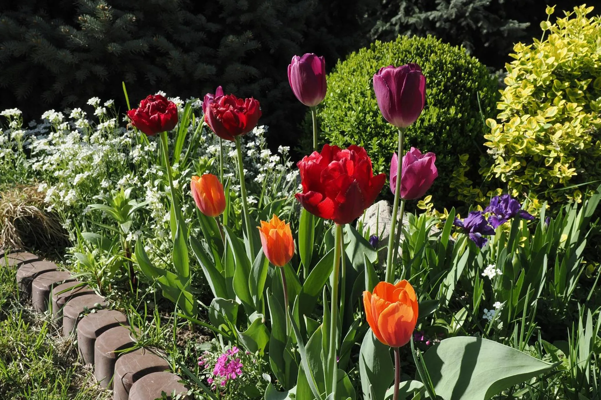 Spring in Asia Hotel