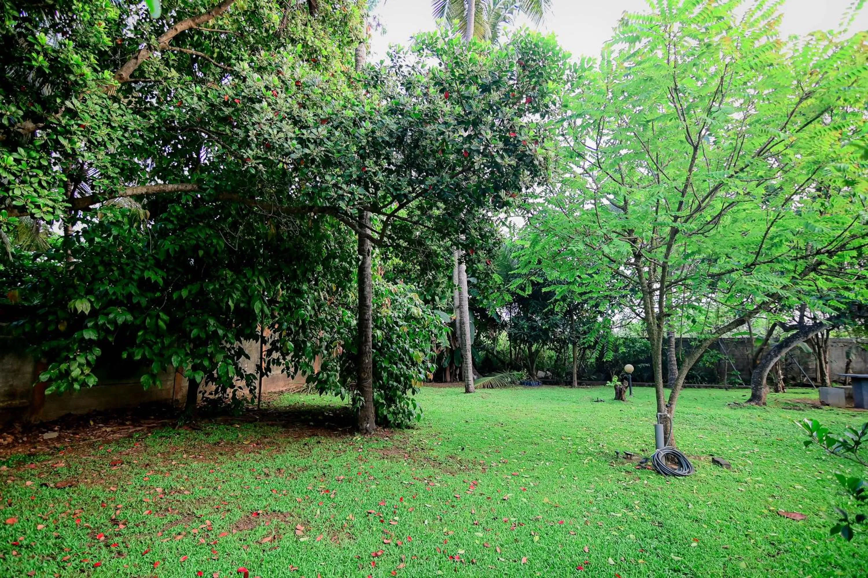 Garden in Airport Villa