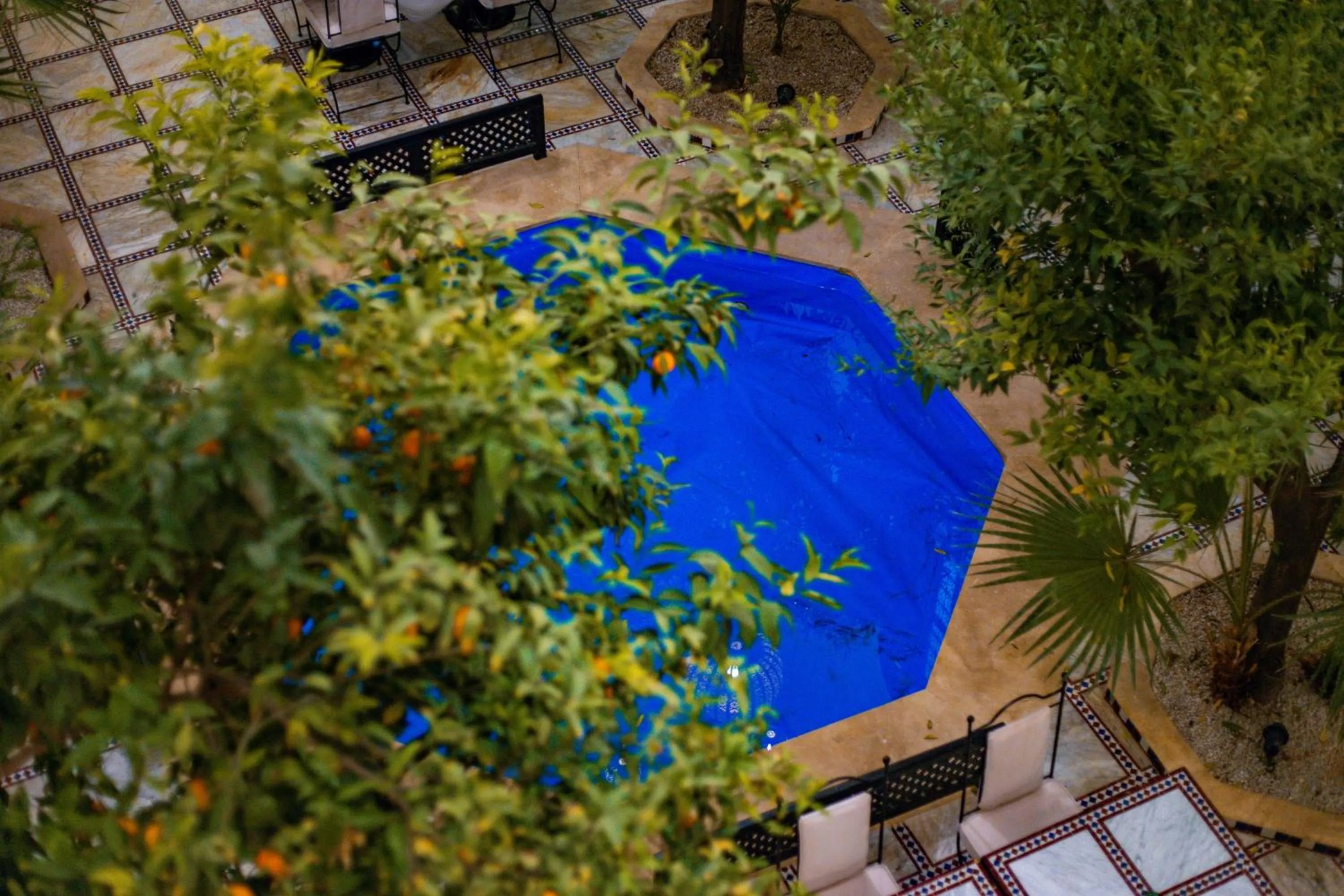 Garden view in Riad Dar Dialkoum