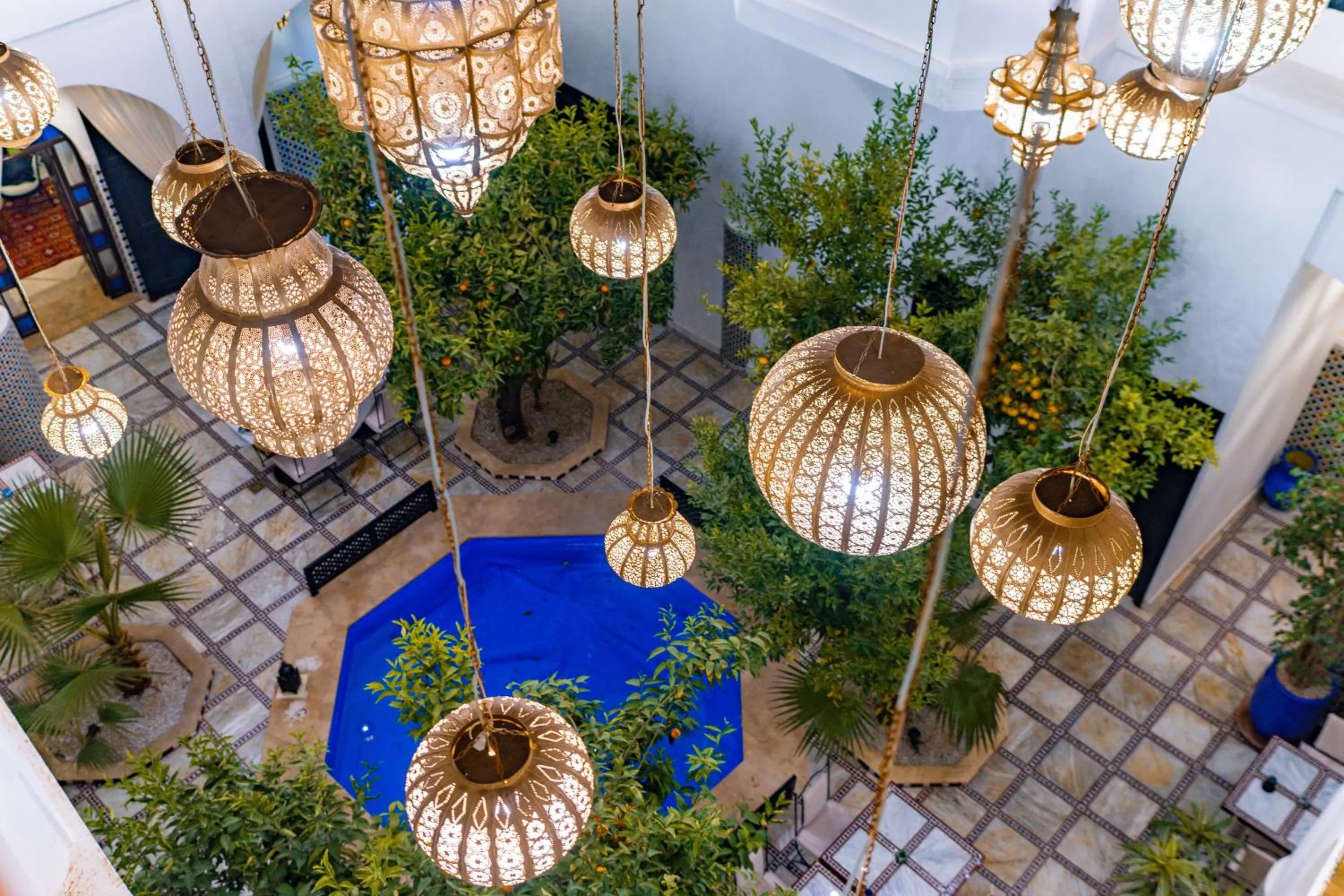 Garden in Riad Dar Dialkoum