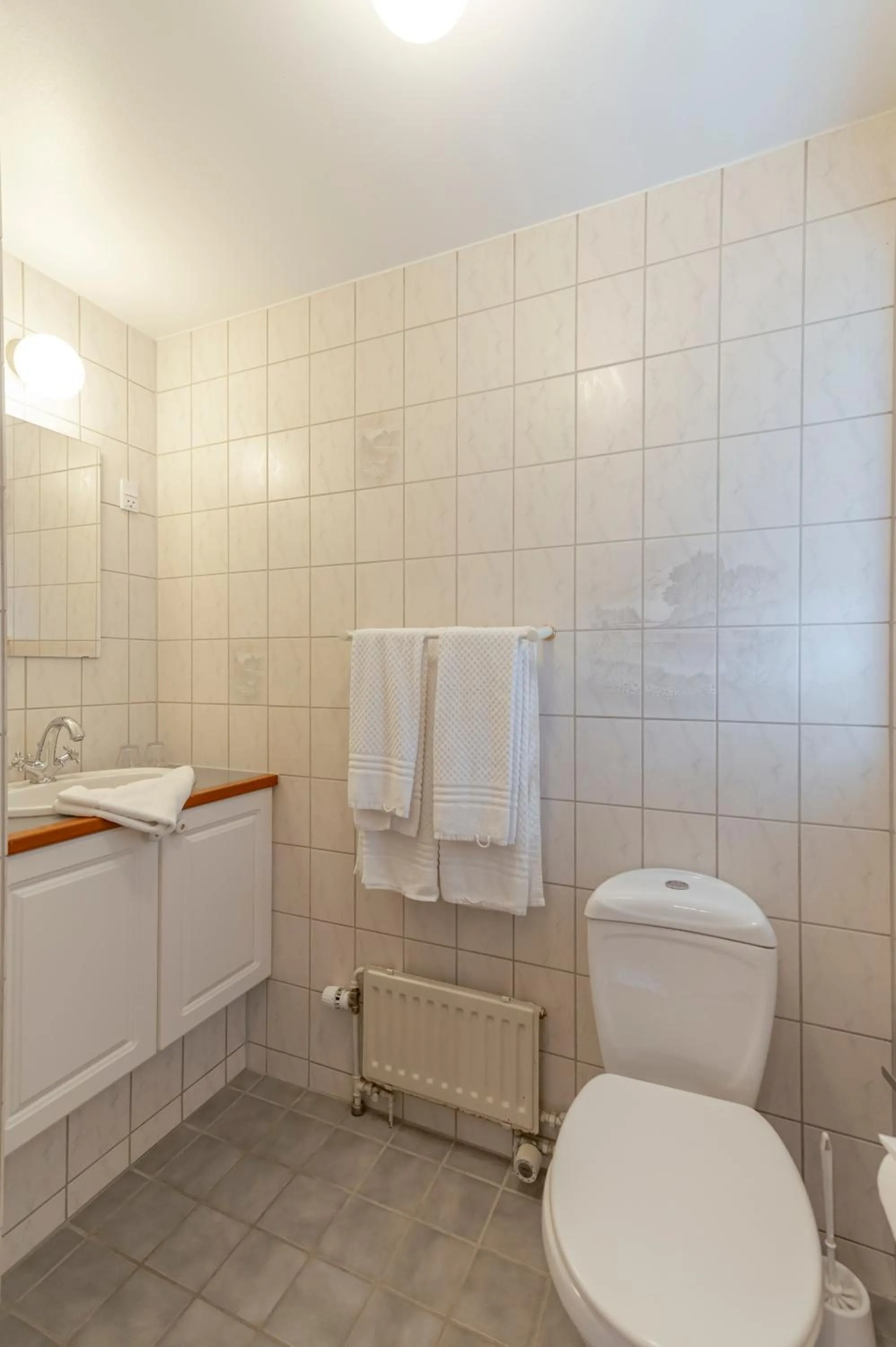 Bathroom in Bramslevgaard