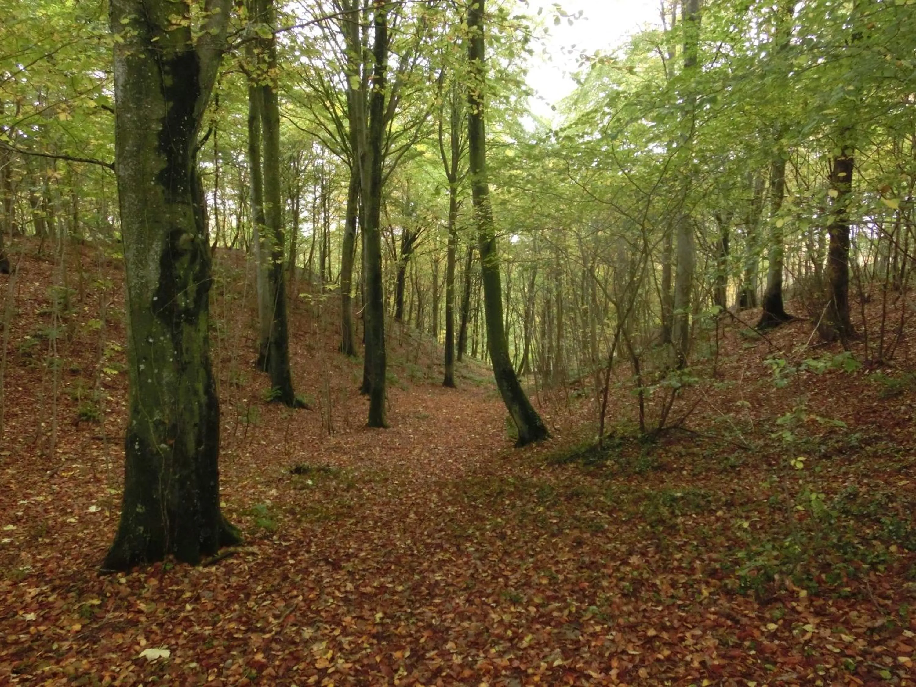 Area and facilities in Bramslevgaard