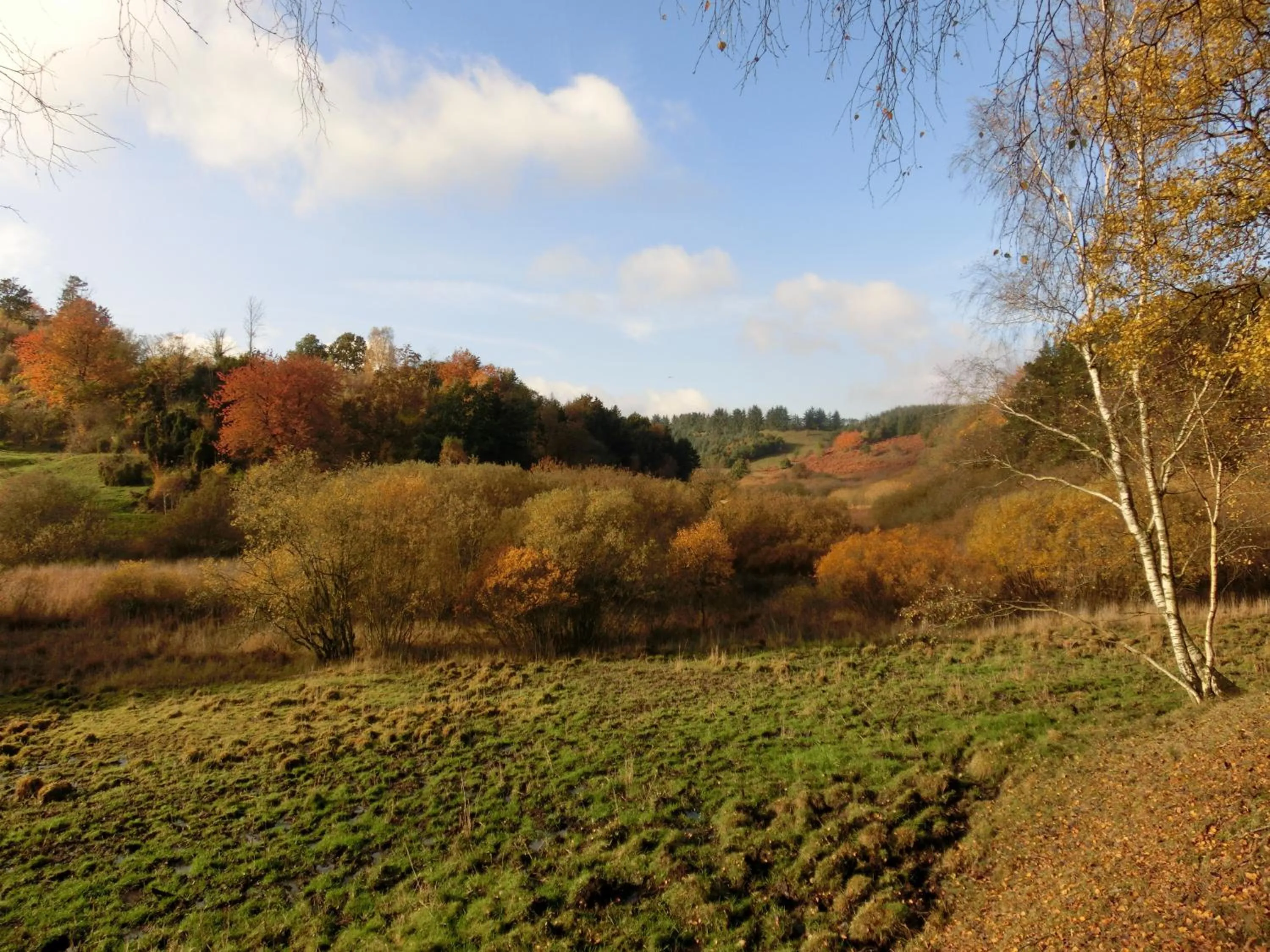Area and facilities in Bramslevgaard
