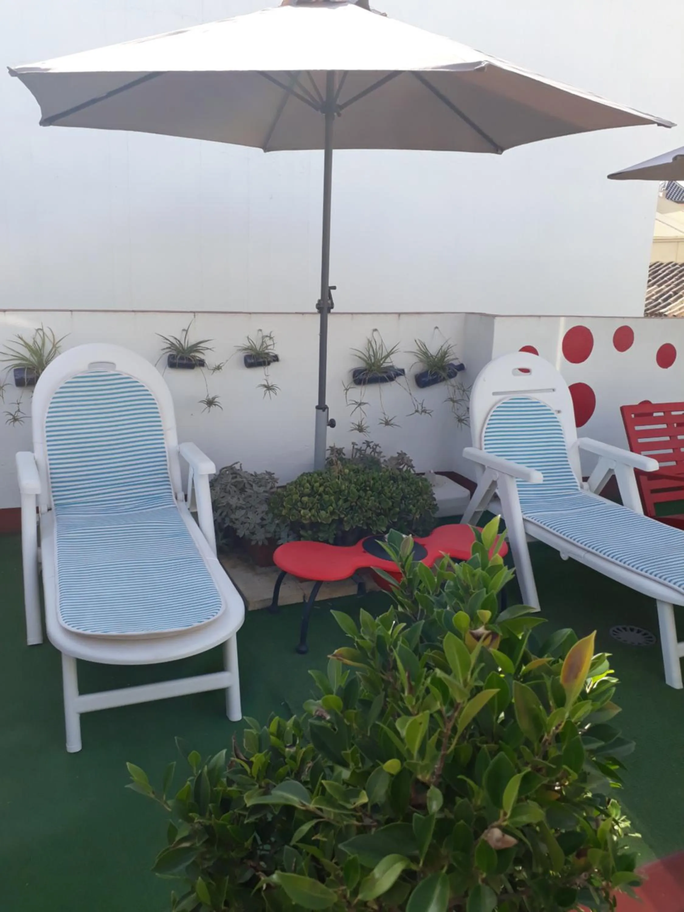 Other in Pension Doña Trinidad