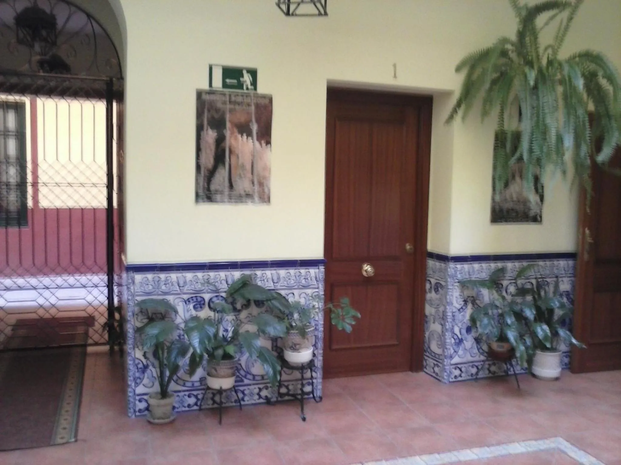 Patio in Pension Doña Trinidad