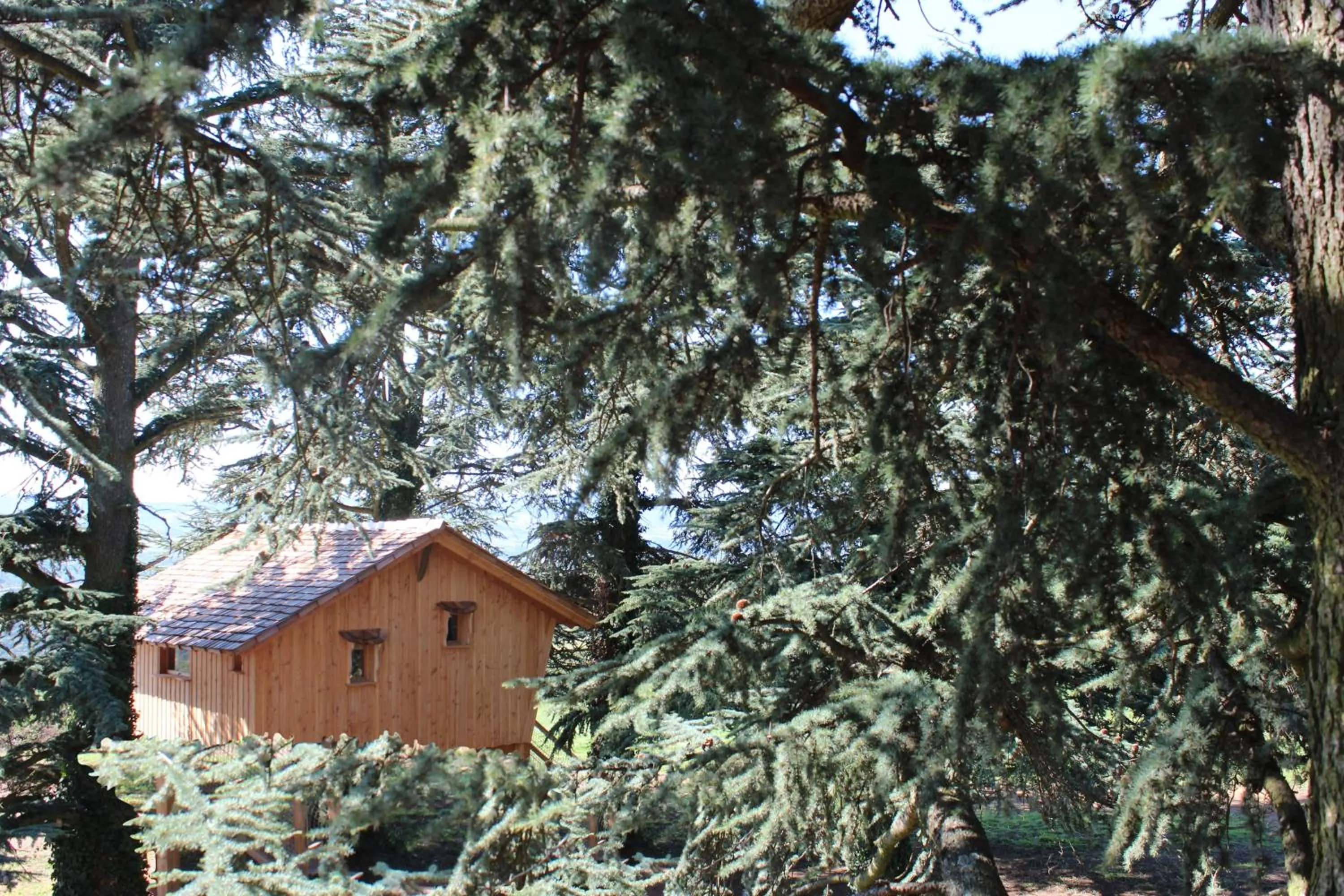 Domaine des Grands Cèdres