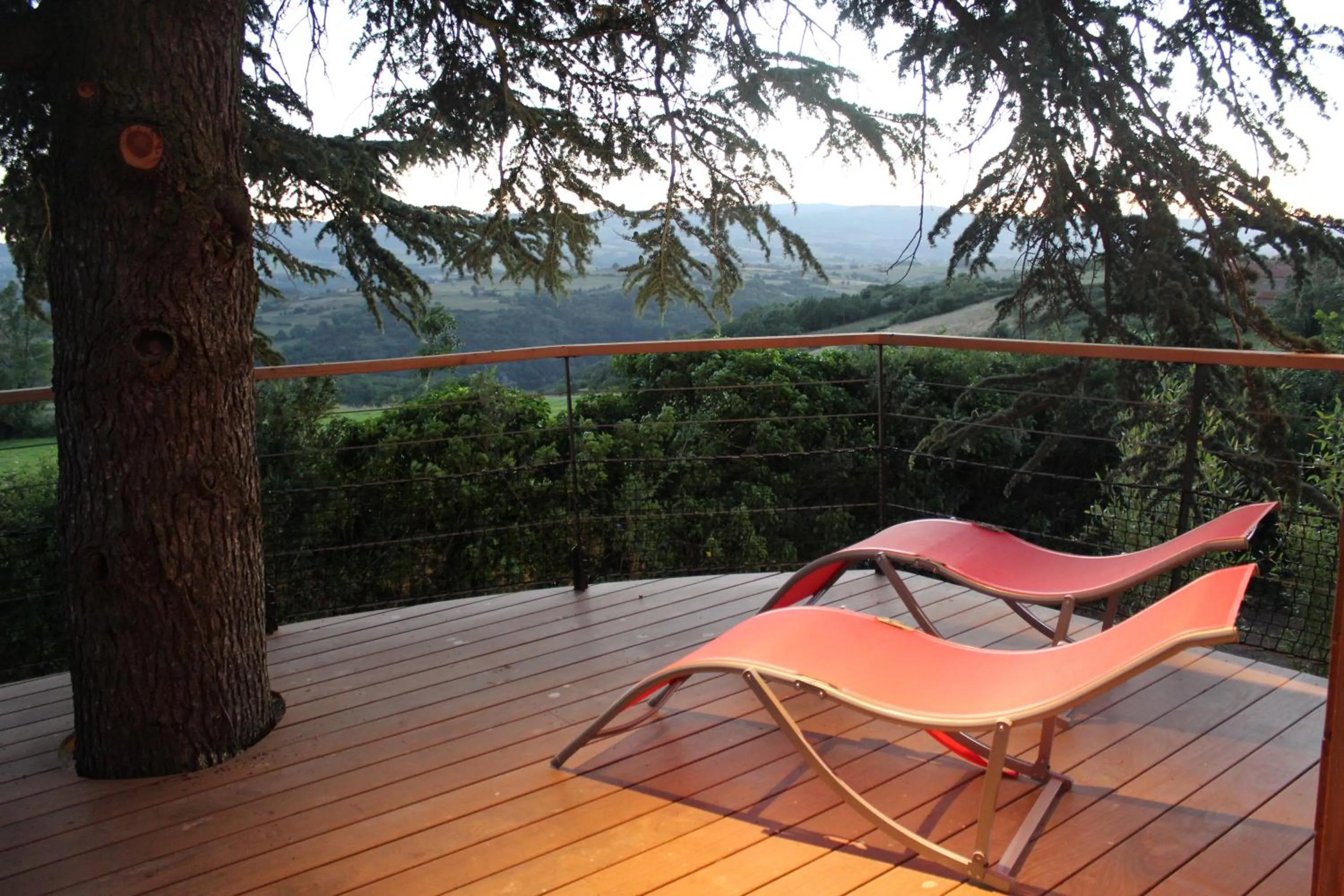 Domaine des Grands Cèdres