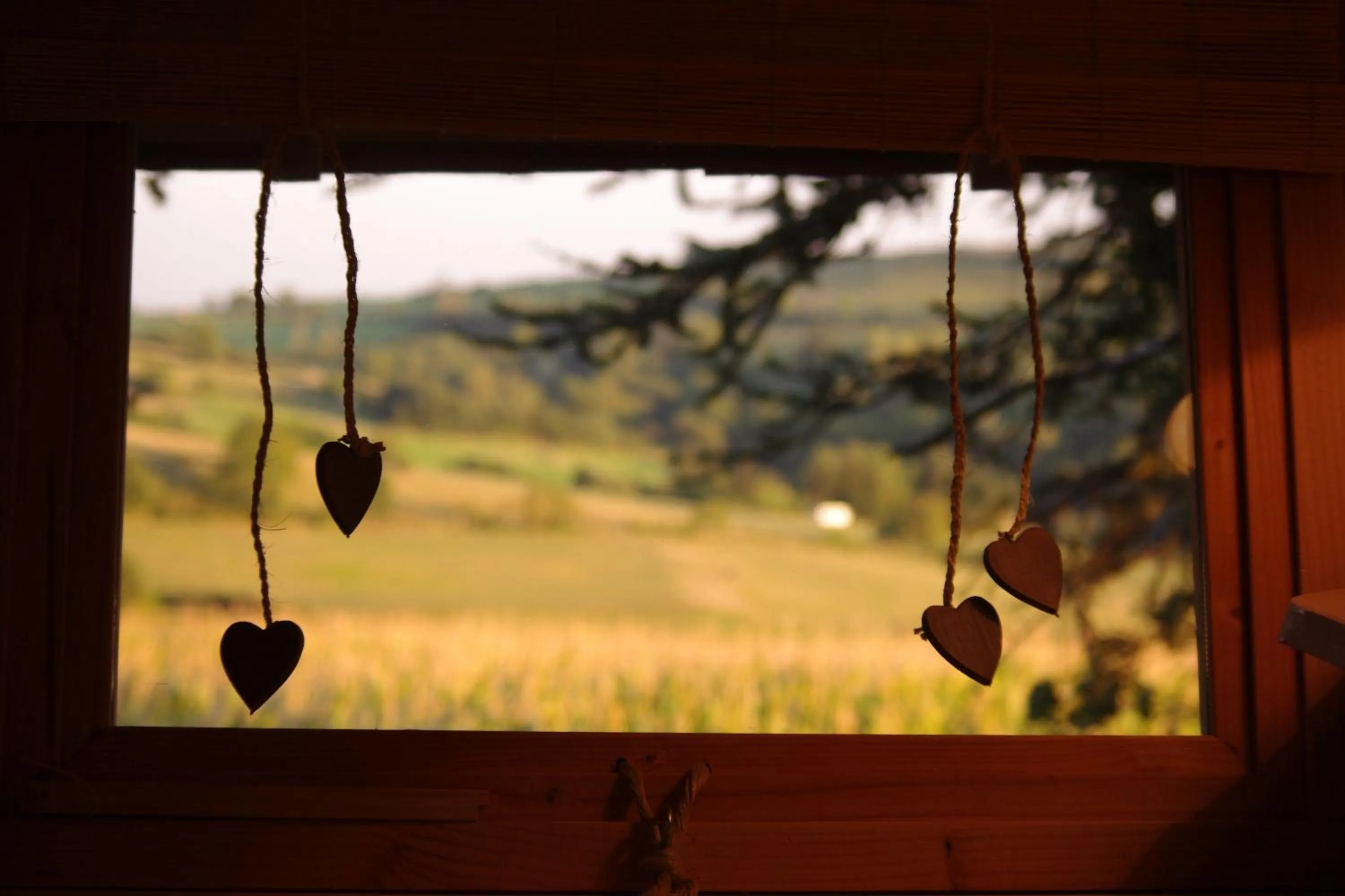 Domaine des Grands Cèdres