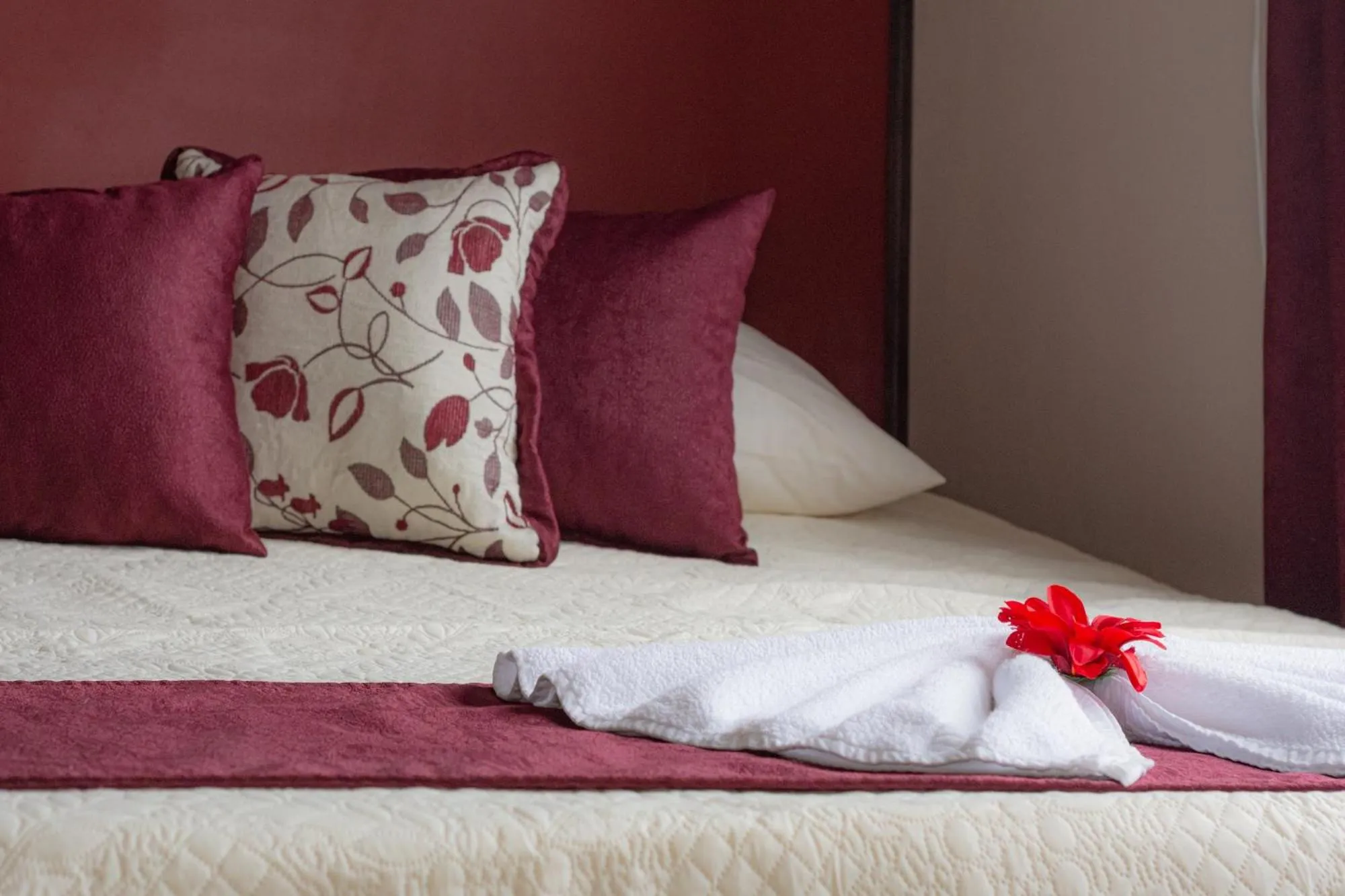 Bed in Nafre House B&B Monteverde