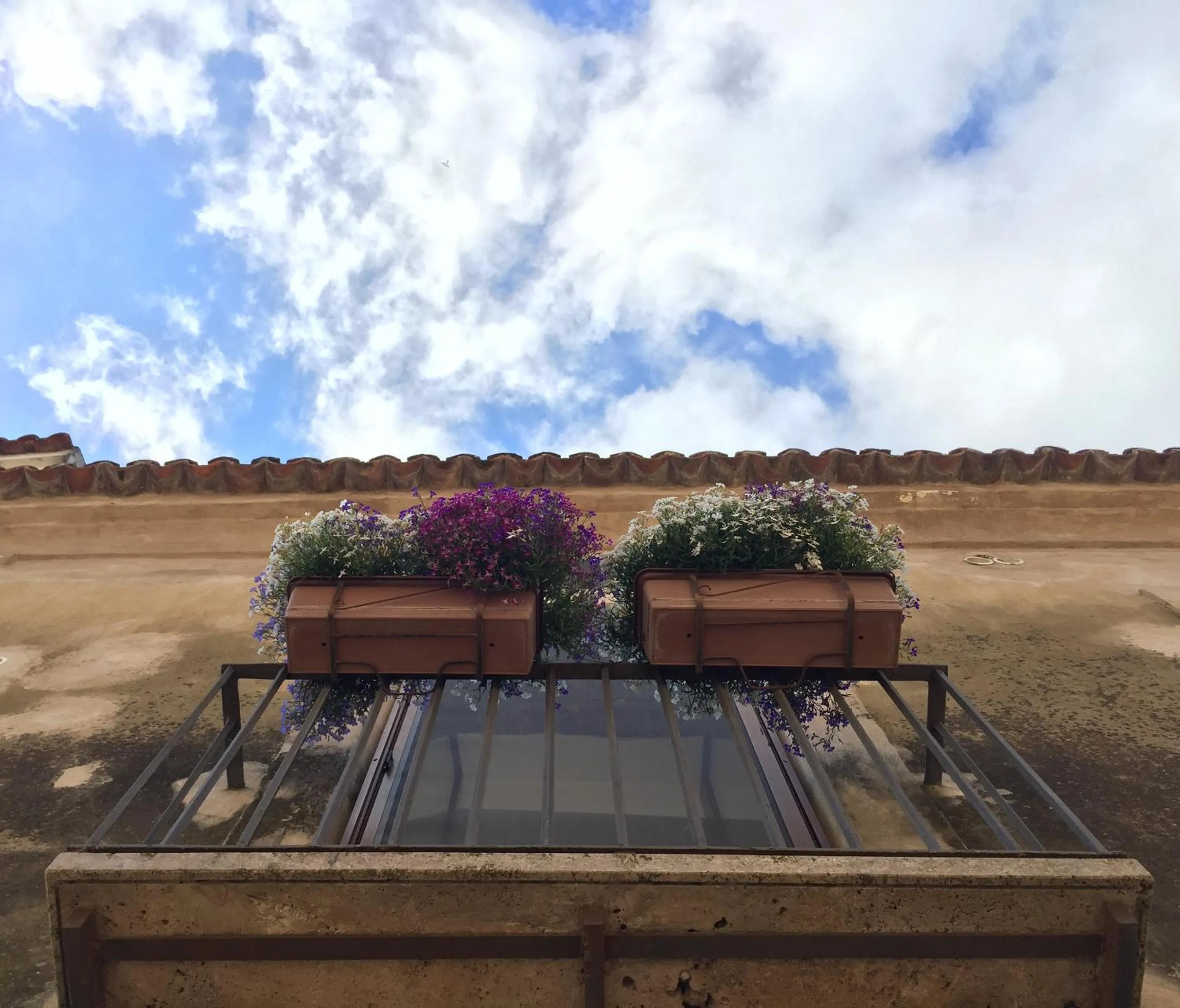 View (from property/room) in Casa Rubini