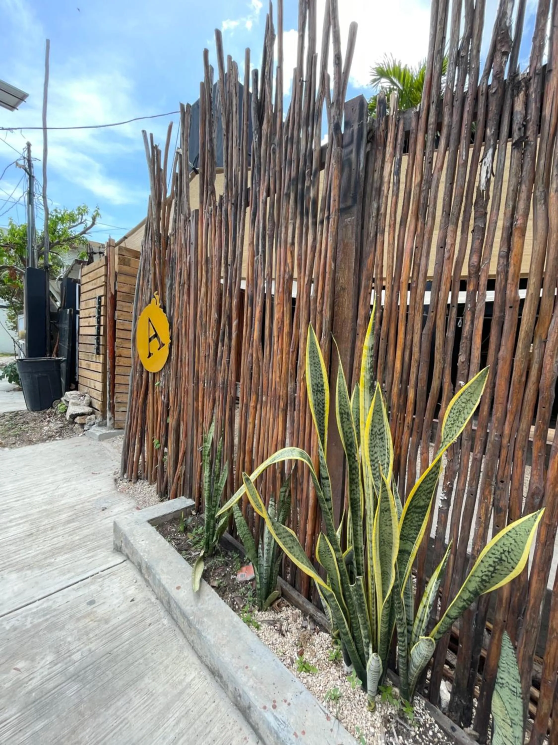 Property building in Aroma Tulum & beach club