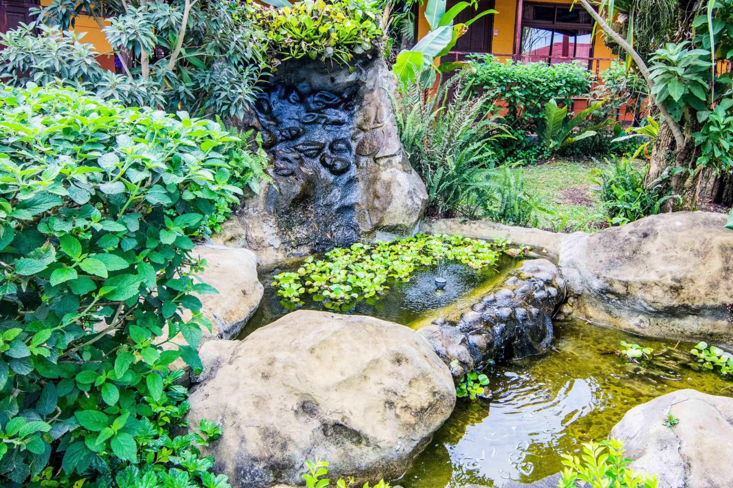 Garden in Hotel Cipreses