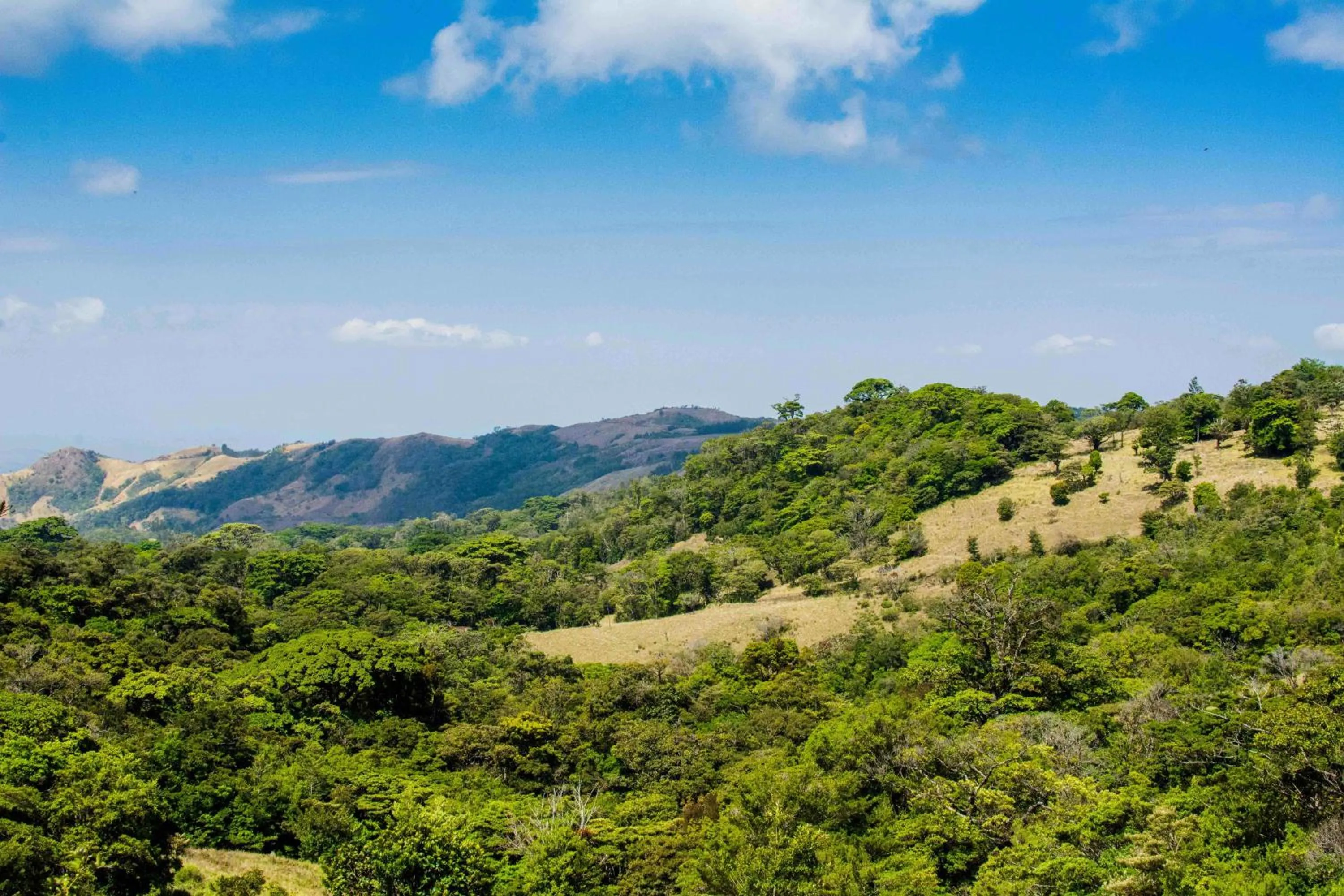 Bird's eye view in Hotel Cipreses