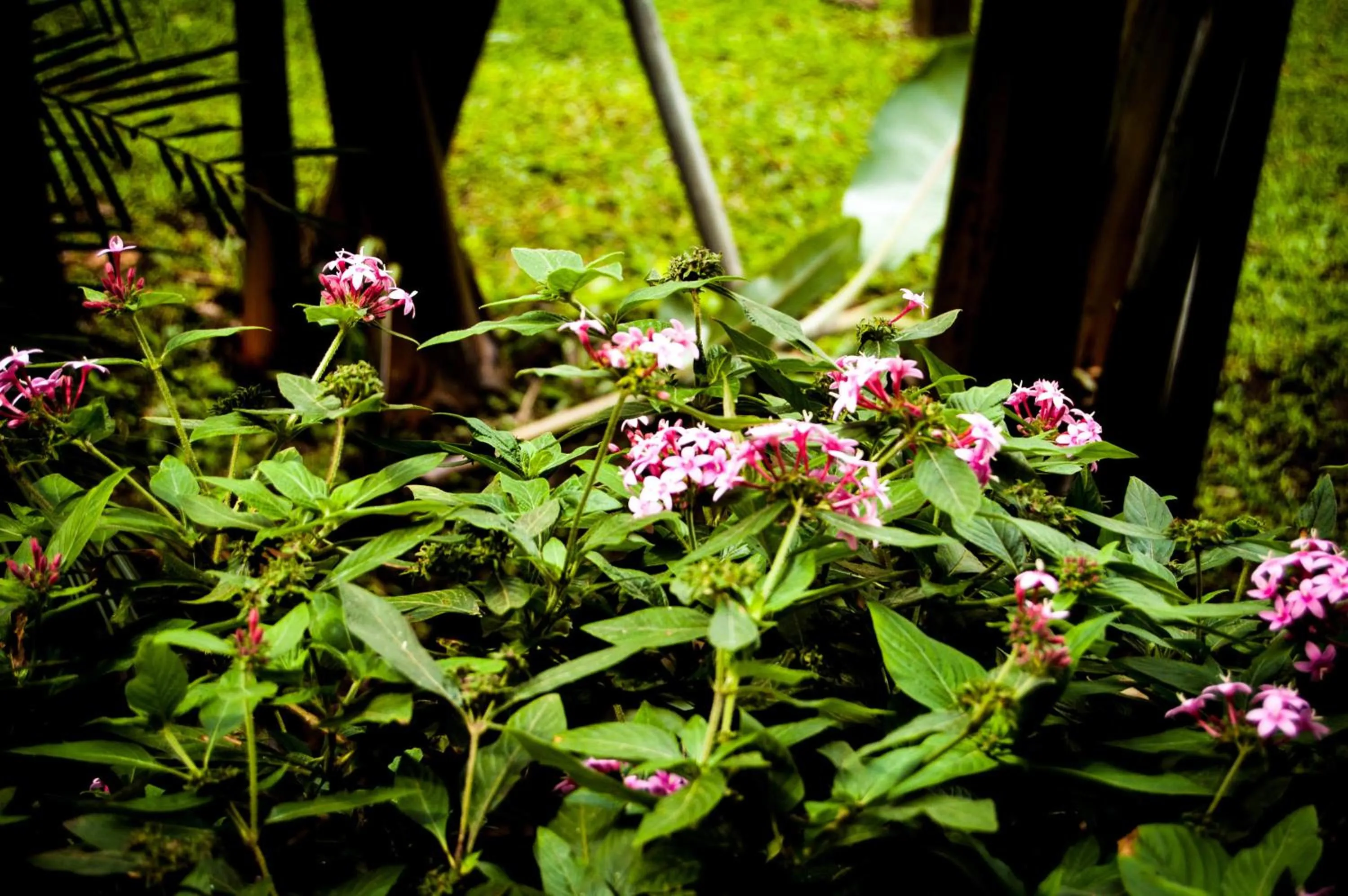 Patio in Hotel Cipreses