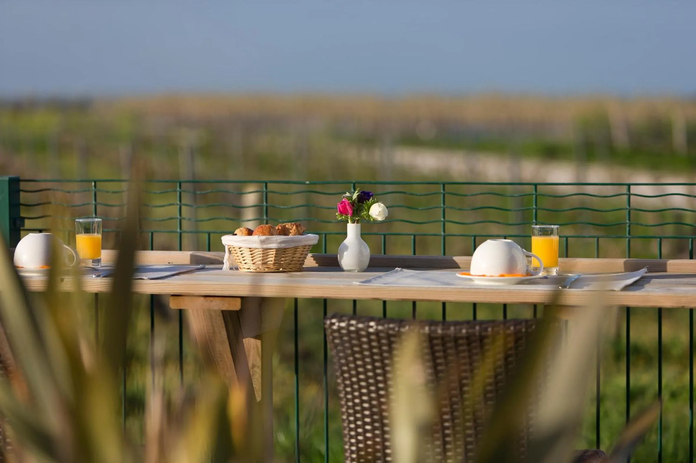 Balcony/Terrace in Hôtel Les Vignes de la Chapelle, "The Originals Relais"