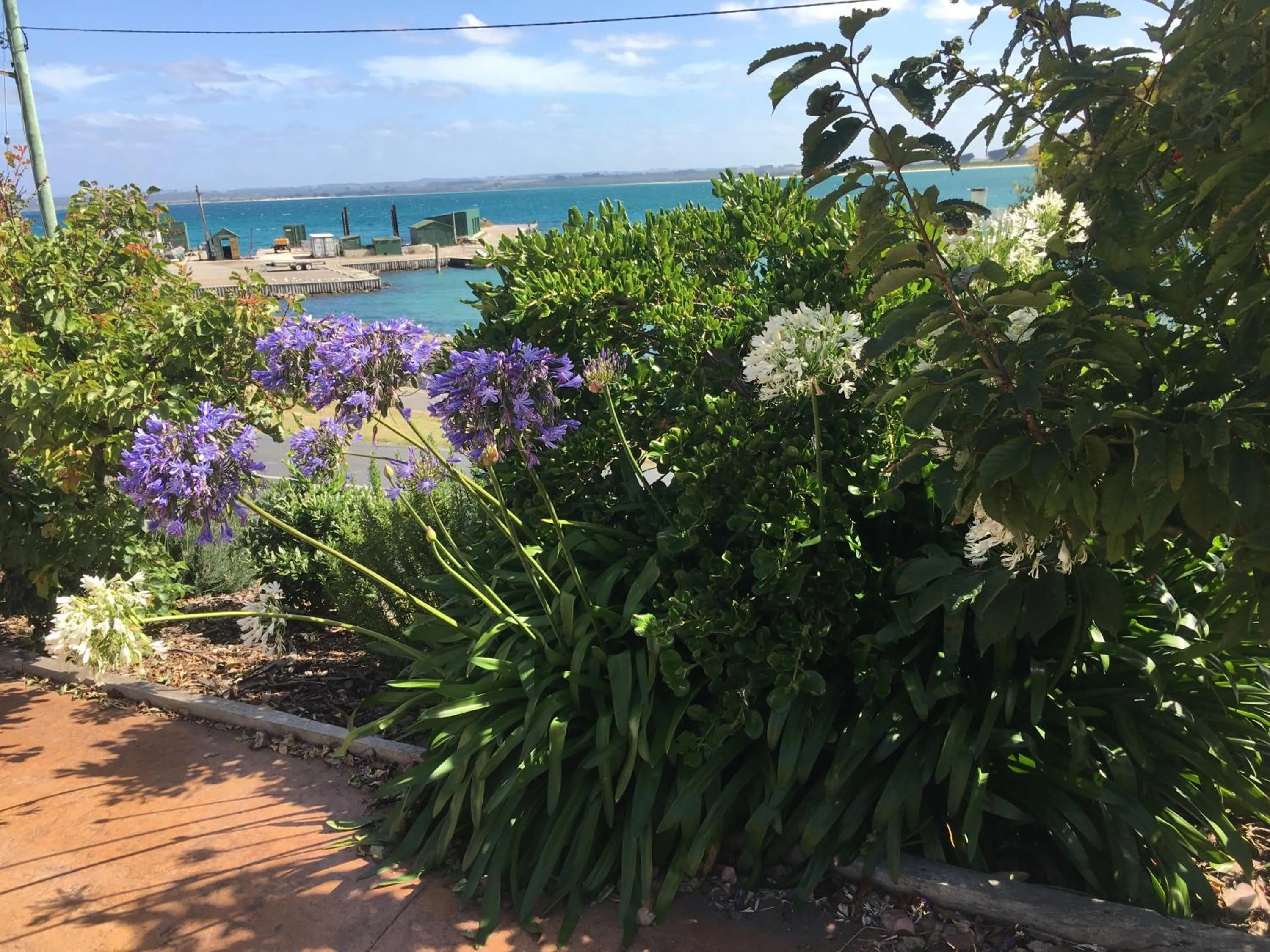 Street view in The Ark Stanley Luxury Bed and Breakfast