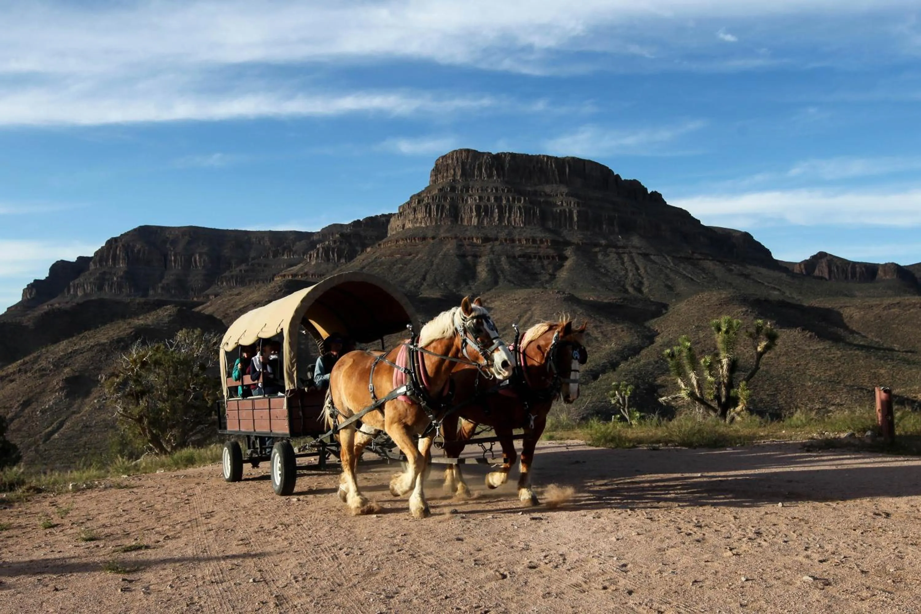 People in Grand Canyon Western Ranch