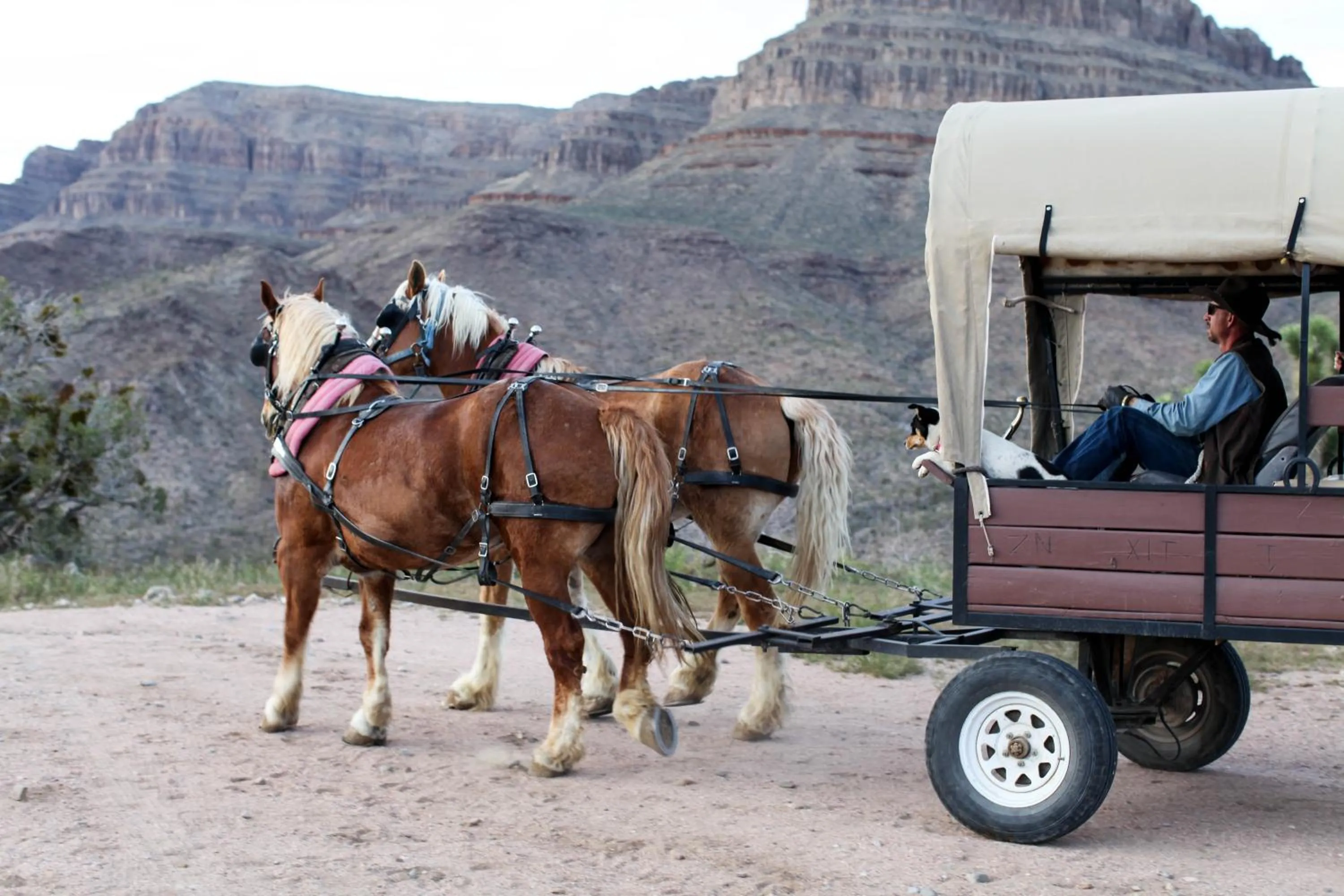 People in Grand Canyon Western Ranch