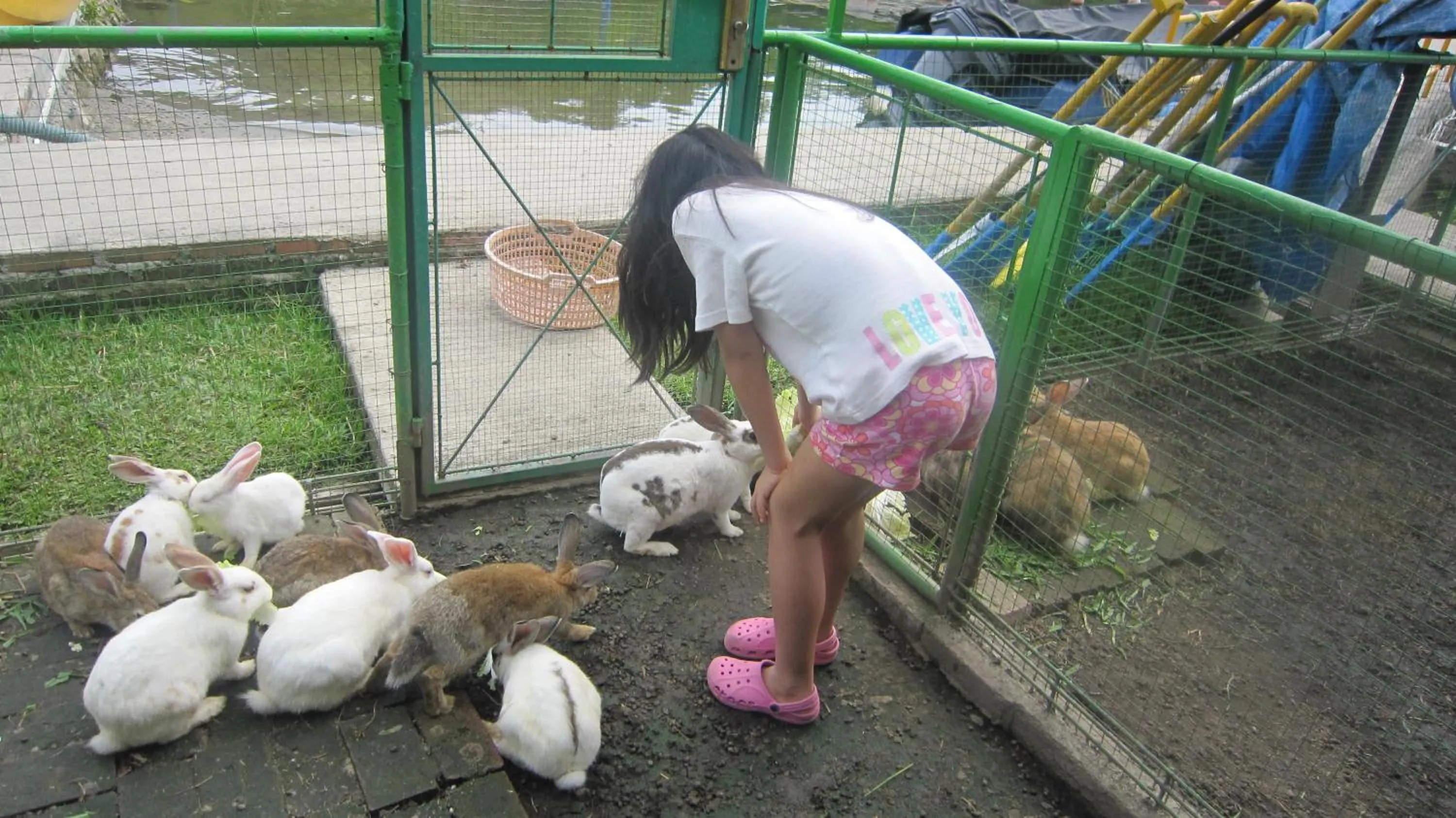 Garden in Horas Family Home