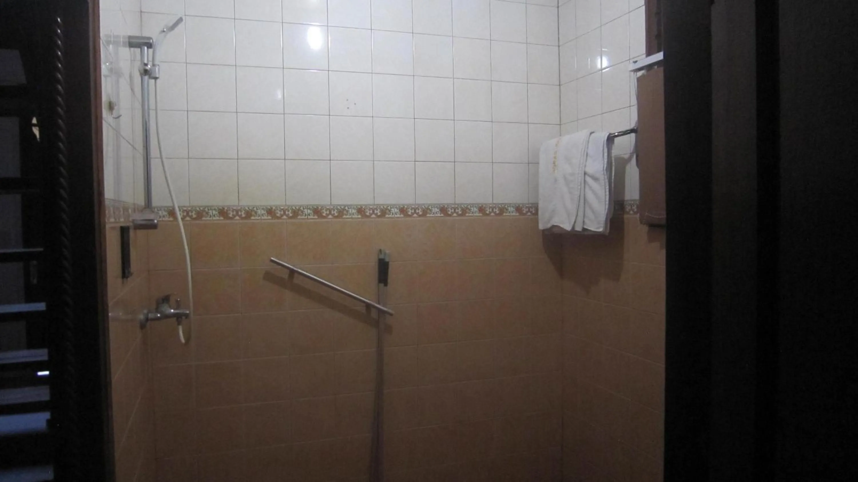 Shower in Horas Family Home