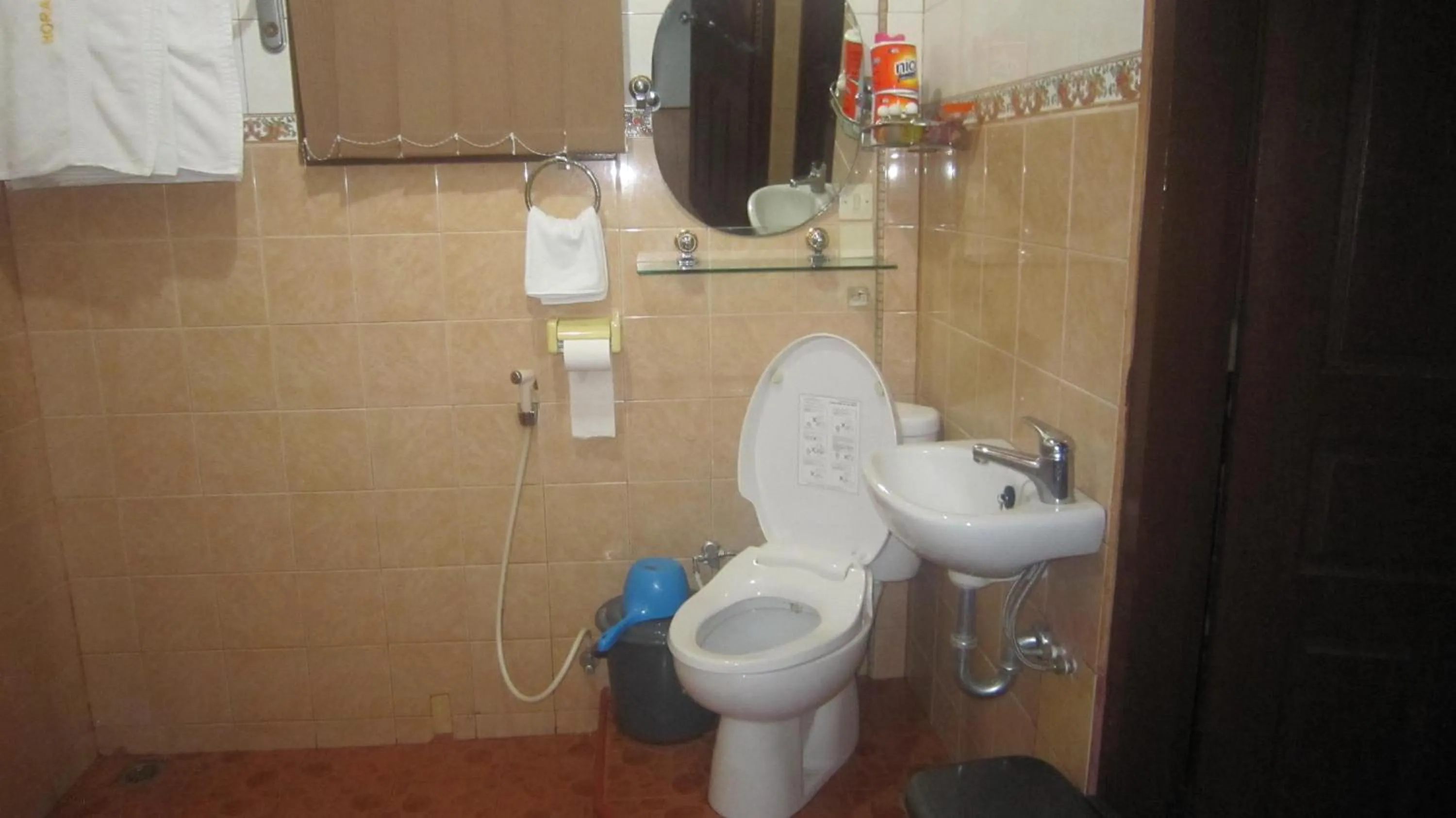 Toilet in Horas Family Home