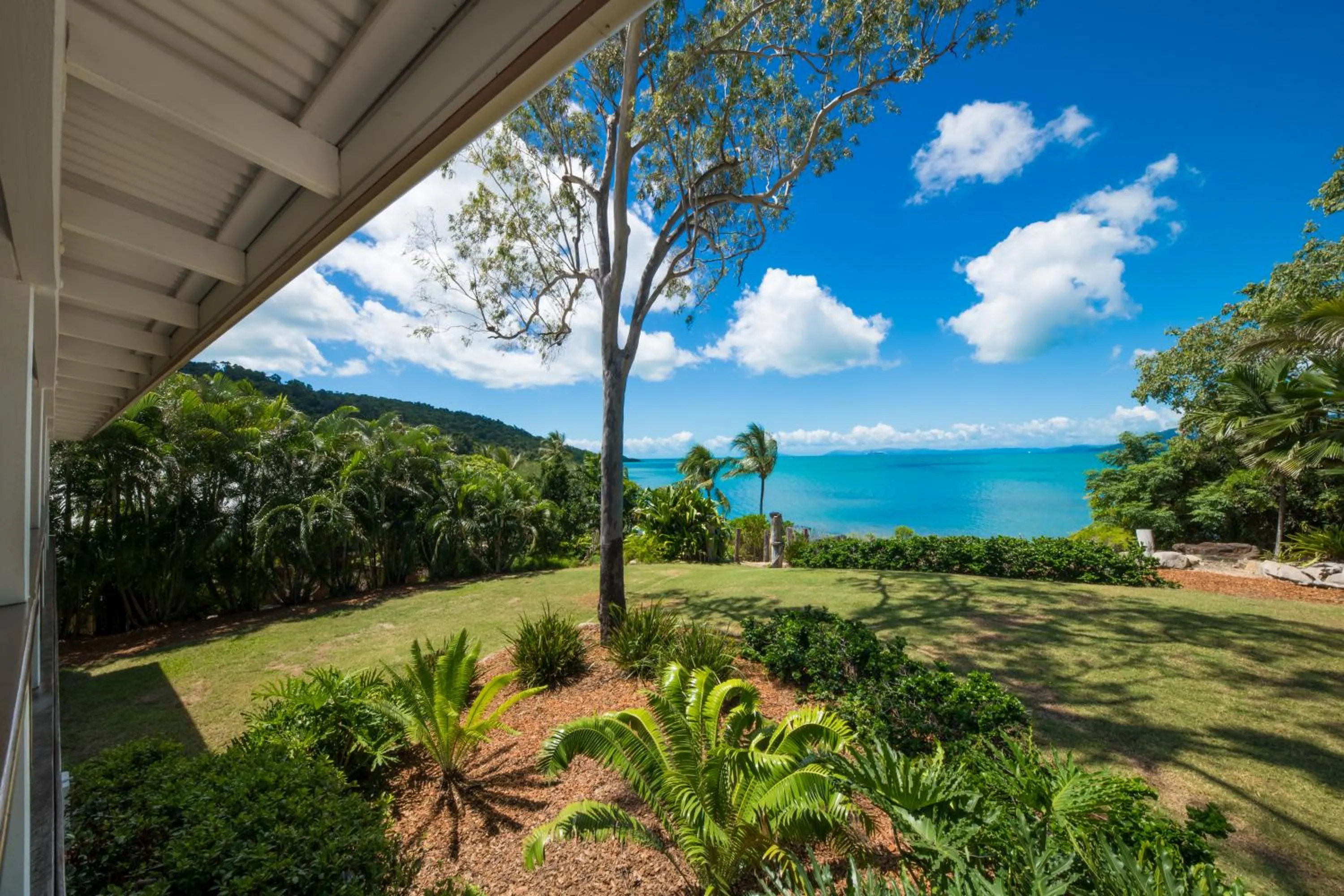 Natural landscape in Freedom Shores Resort Airlie Beach