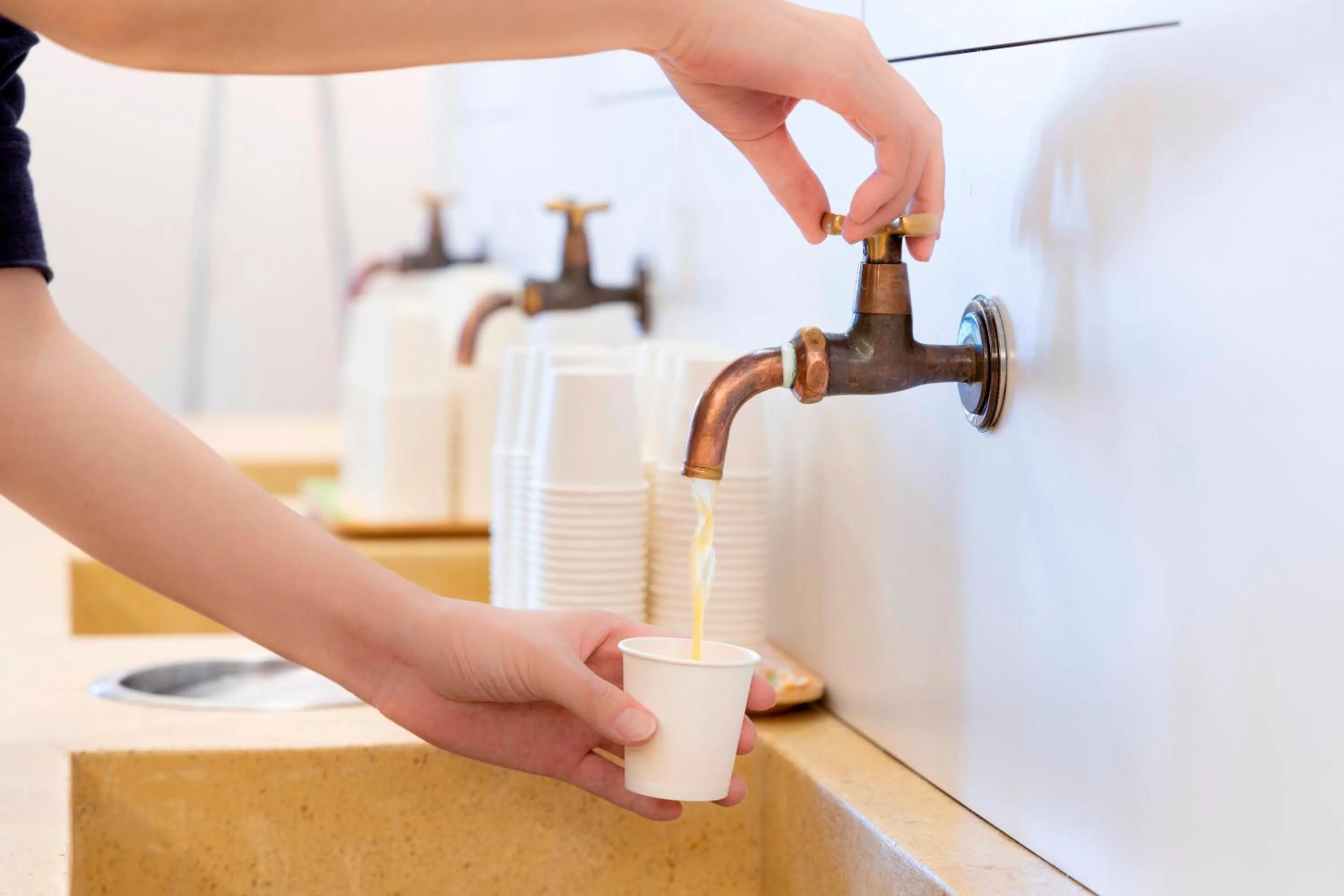 Lobby or reception in DogoYaya