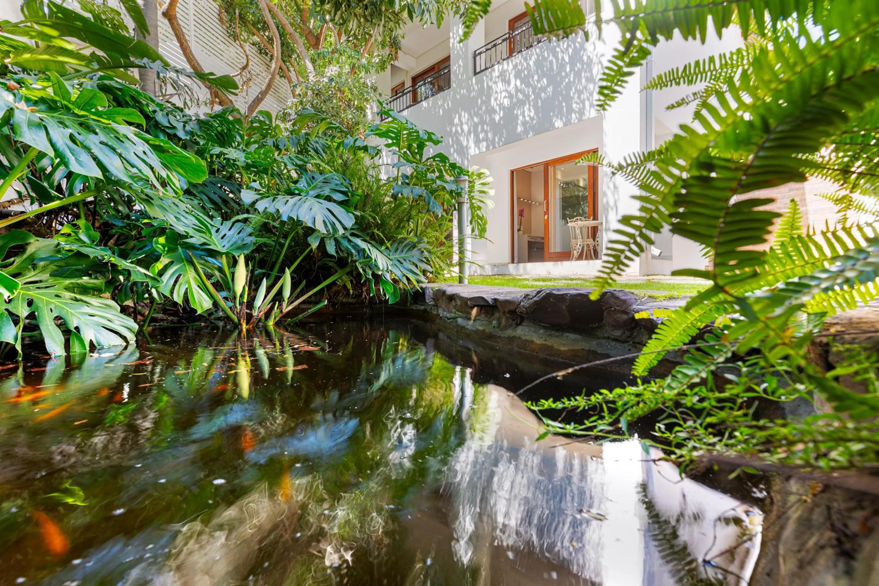 Garden view in Hyde Park Guest House
