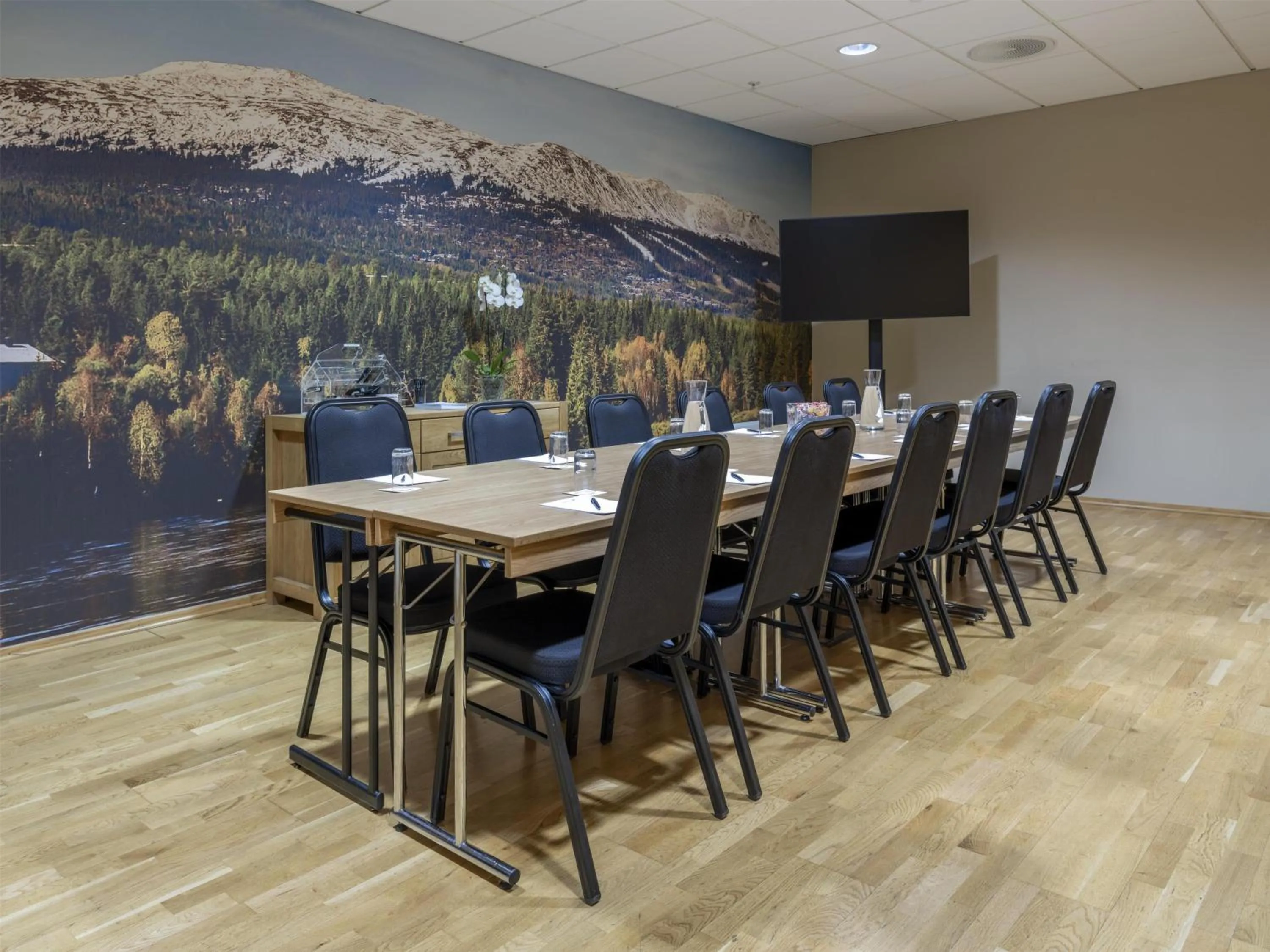 Meeting/conference room in Radisson Blu Resort, Trysil