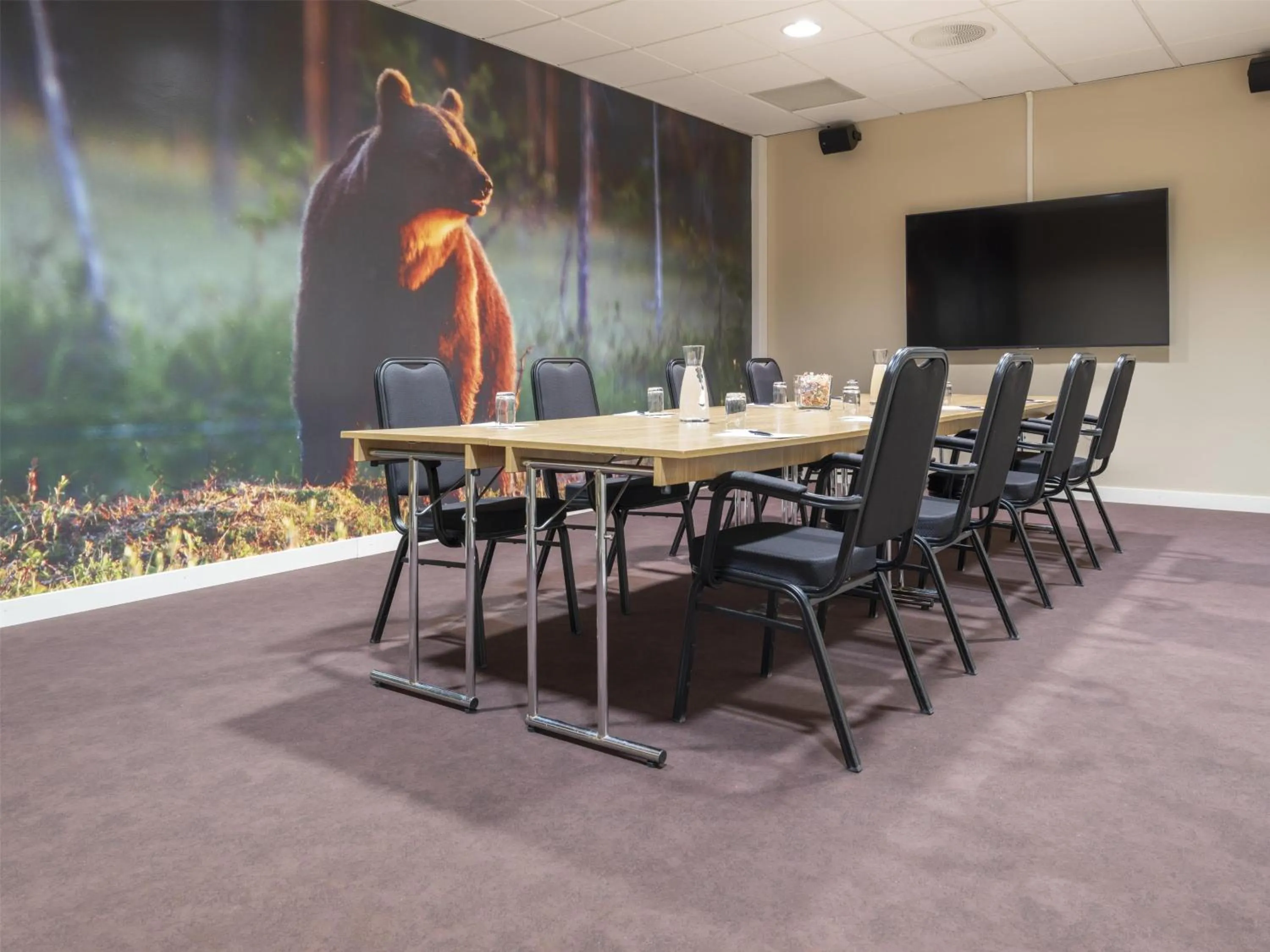 Business facilities in Radisson Blu Resort, Trysil